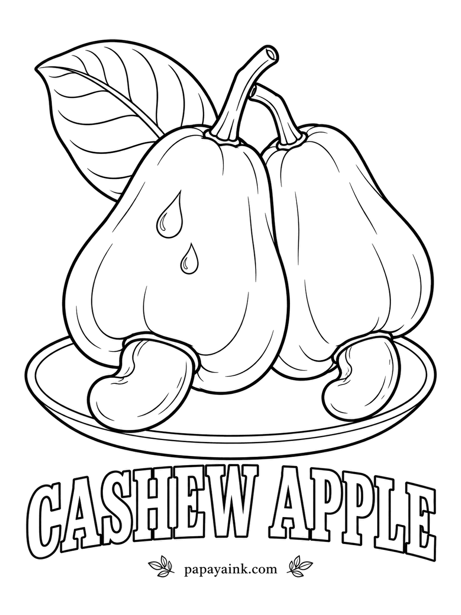 Printable Fruit Coloring Pages - Every cashew nut grows outside its fruit, hanging under it like a little boxing glove. Red or yellow for the soft apple above, gray-green to brown for the kidney-shaped nut below - two very different textures on one page.