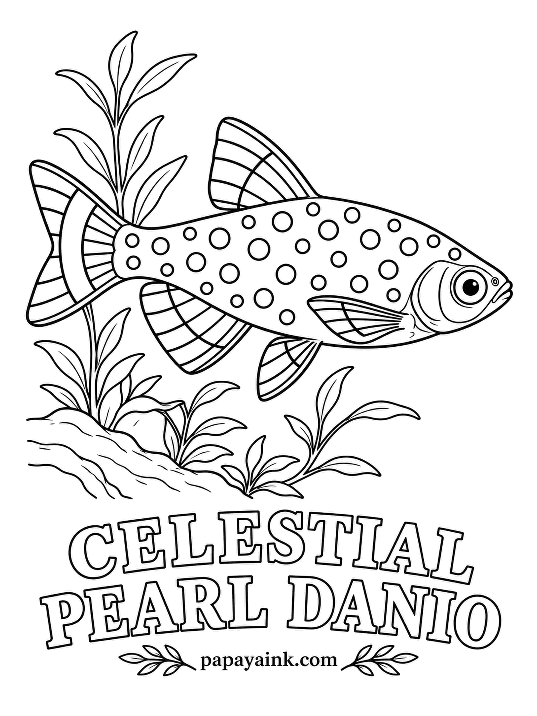 Aquarium Fish Coloring Pages - Nobody in the hobby had seen this fish until this century, when it turned up in small ponds on a highland plateau in Myanmar and was sold as the galaxy rasbora. Pearly gold spots on slate blue, orange and black stripes on the fins.