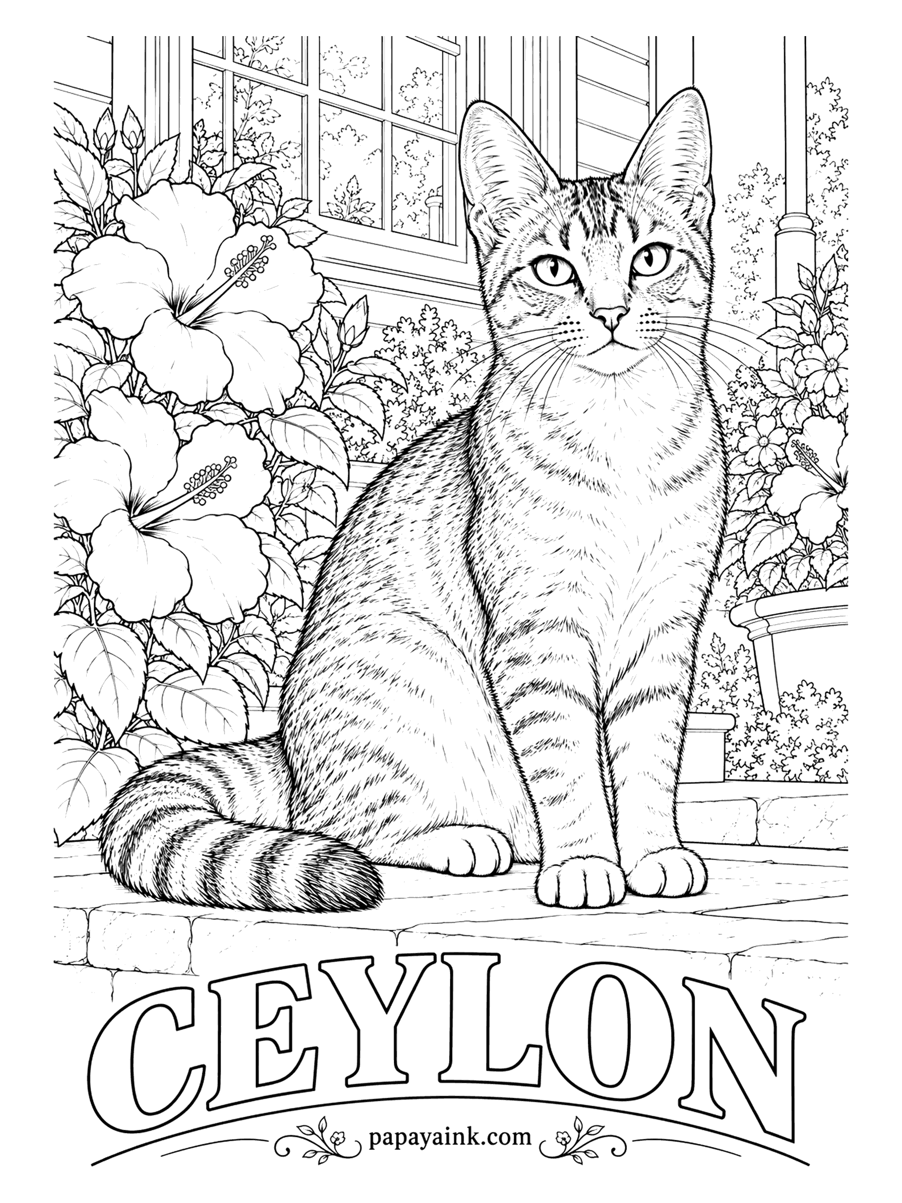 Free Printable Cat Coloring Pages - Brought from Sri Lanka by Italian breeders, the Ceylon has a fine ticked coat with barred legs and an M on the forehead. Manila, a sandy gold with black ticking, is the signature color. Ring the tail in the same black as the ticking.