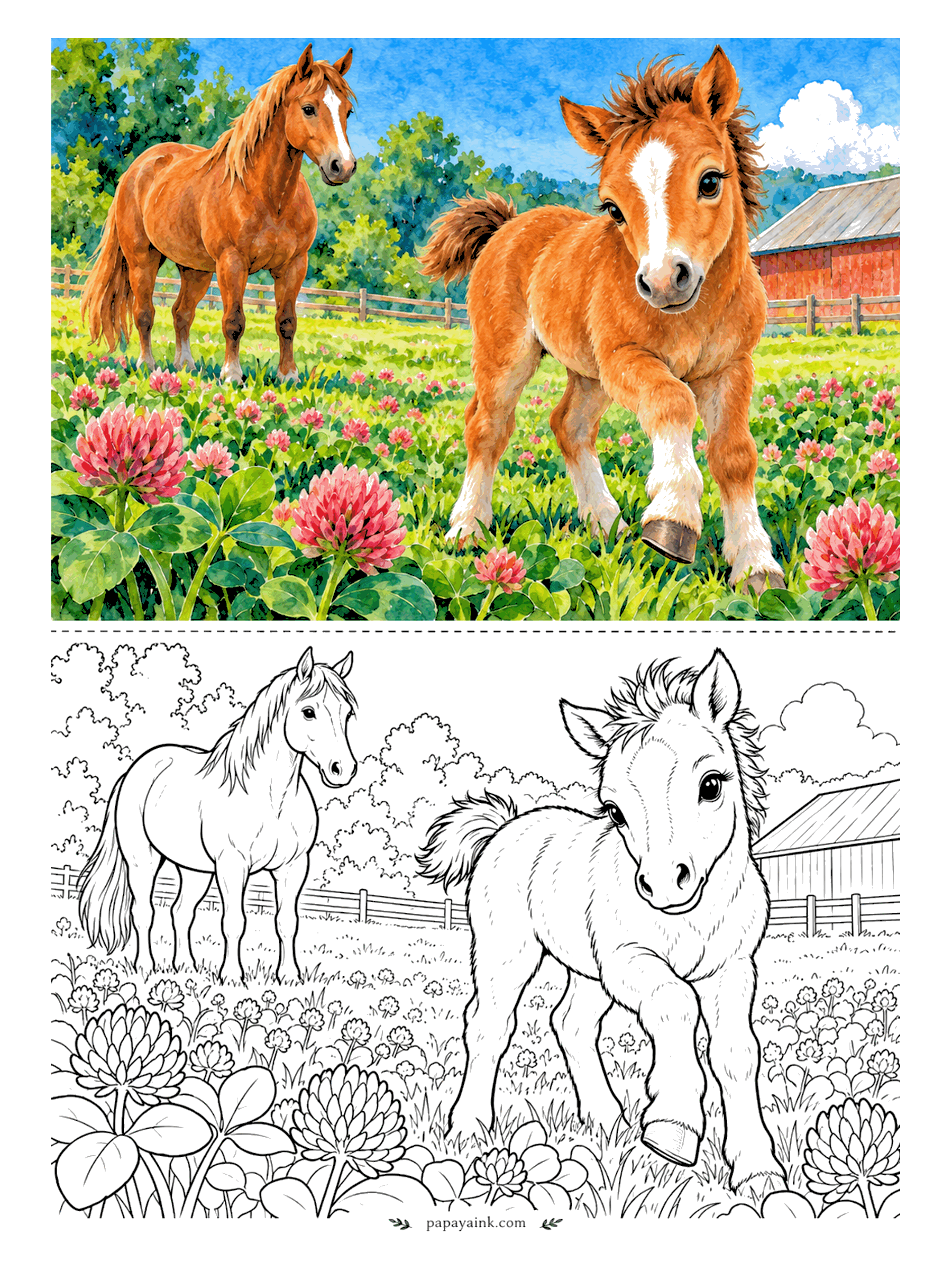 Cute Horse Coloring Pages - Trot practice in the clover field. A chestnut foal with a white blaze bounces toward the viewer while her mother watches from the fence line and a barn sits in the distance. Pink clover heads dot the whole meadow.