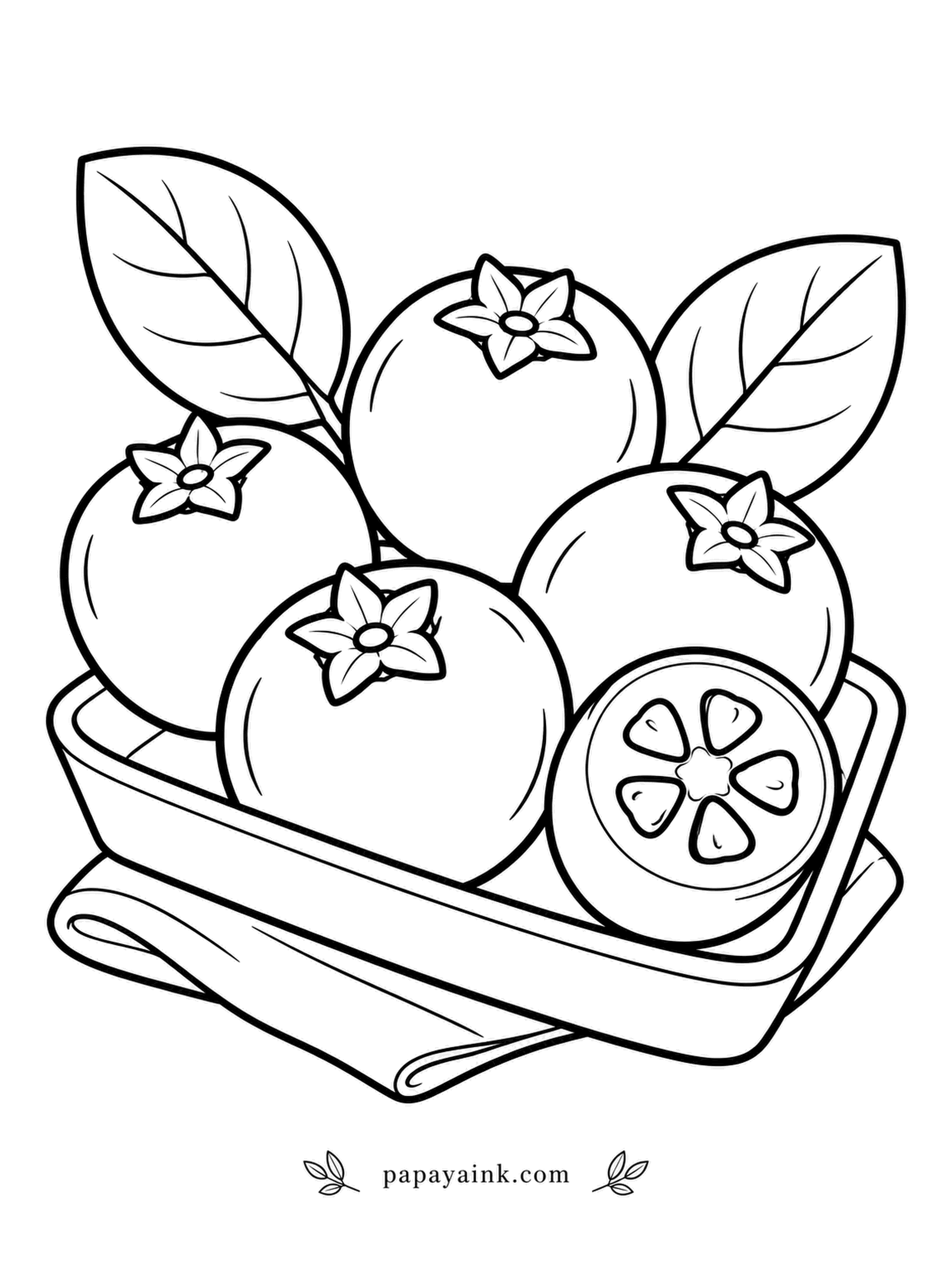 Fruit Coloring Pages - One raw bite explains the name: chokeberries are so tart they make your mouth pucker. Baked into muffins or cooked into jam they turn friendly. The tray is full, every berry topped with a star-shaped crown. Nearly black with a hint of plum.