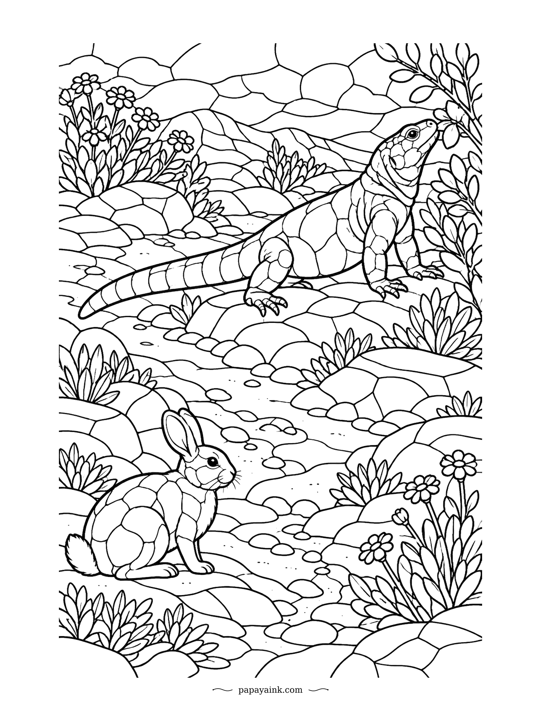 Lizard Coloring Pages - Desert breakfast: the chuckwalla stretches up to sniff a blossom while a cottontail waits among the rocks below. Chuckwallas wedge into crevices and puff up with air when threatened. Stained-glass stones and flowers everywhere.