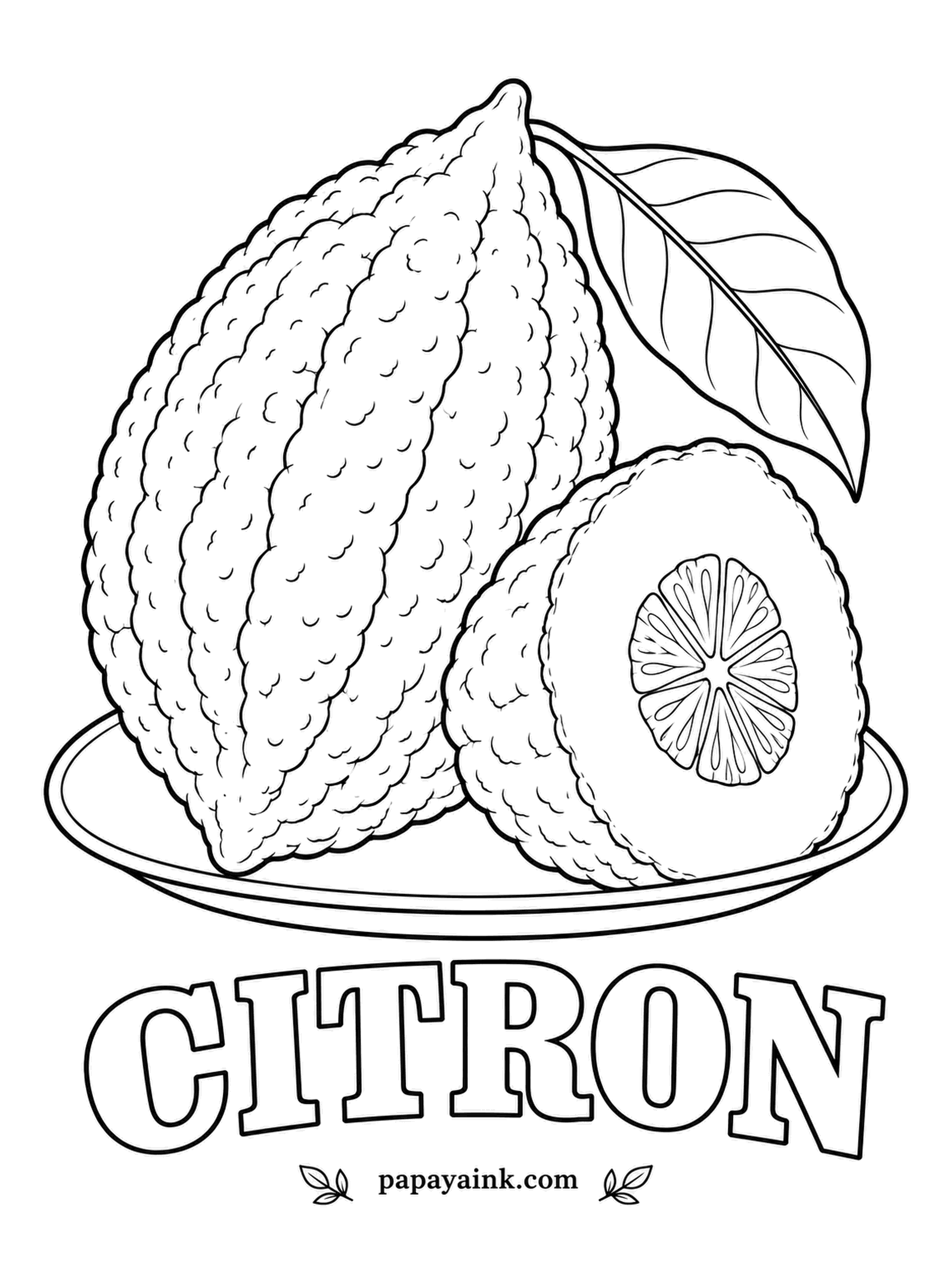 Printable Fruit Coloring Pages - One of the original citrus fruits and a parent of the lemon, citron is grown for its thick, lumpy, fragrant rind, which ends up candied in cakes. Lemon yellow outside, a fat white layer, and a small pulpy center.