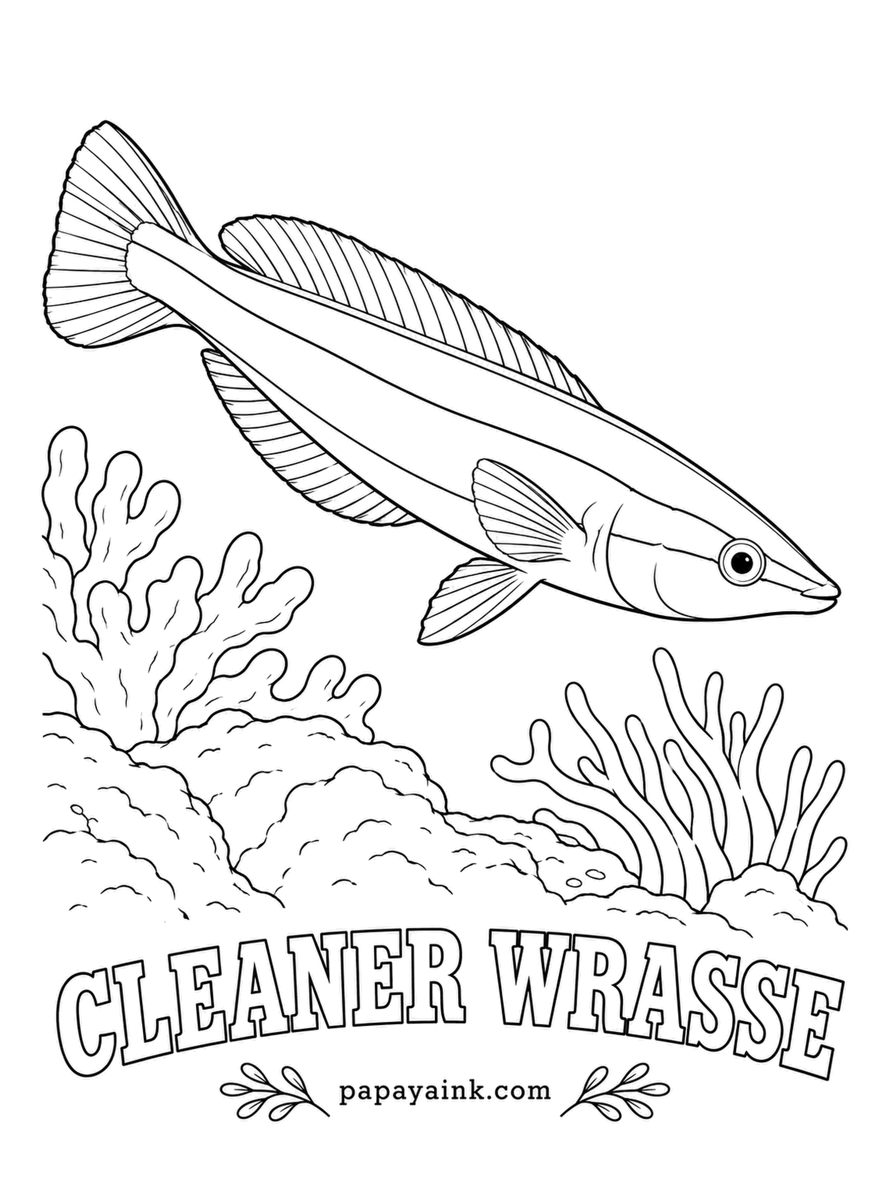 Ocean Fish Coloring Pages - Customers queue at its cleaning station - groupers, moray eels, even sharks - and hold still with mouths open while it picks parasites off their teeth. A black stripe runs nose to tail, widening as it goes, with electric blue above and below it.