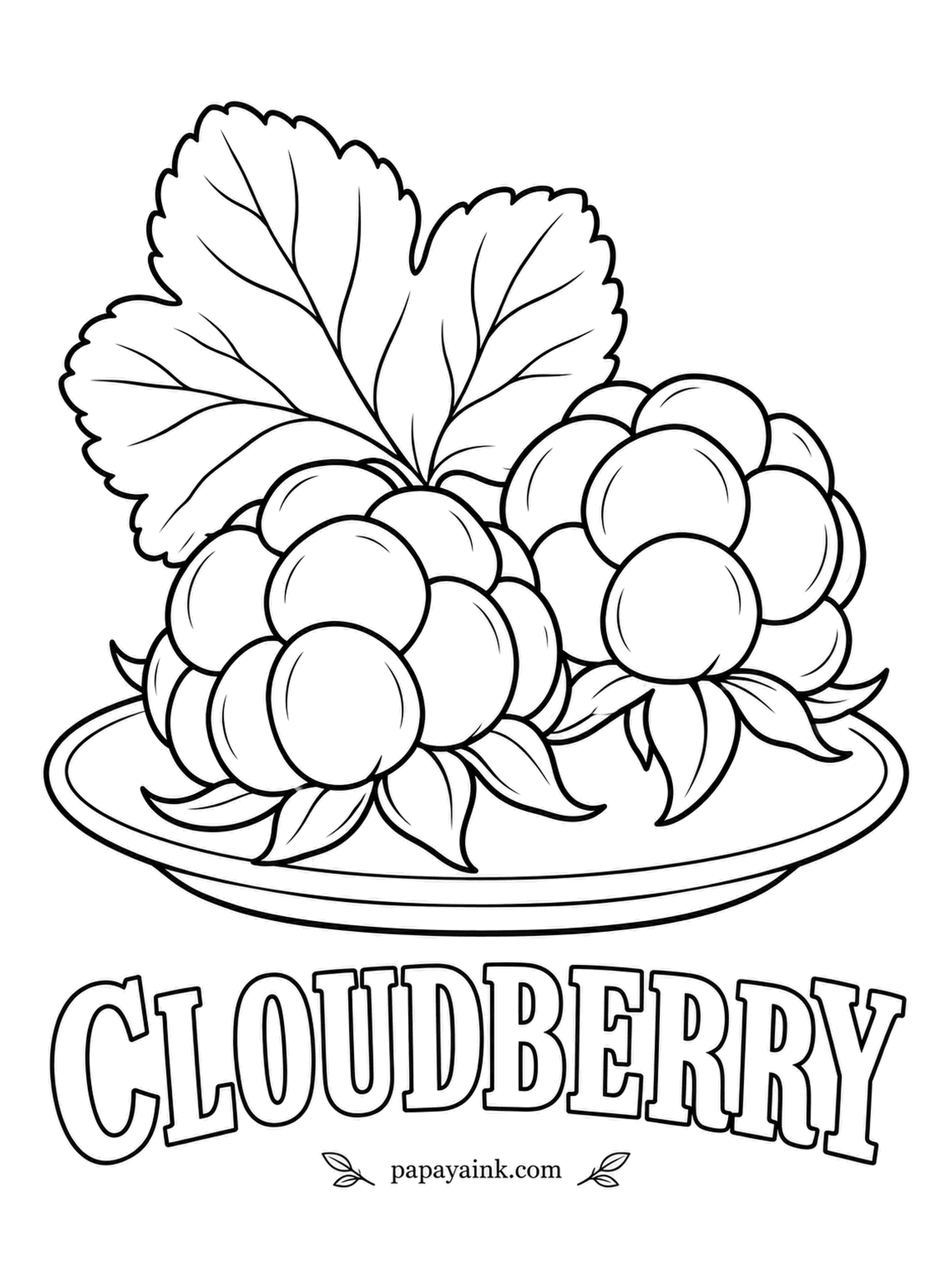 Printable Fruit Coloring Pages - Cloudberries grow wild in northern bogs and are rarely farmed. Oddly, they start red and turn soft amber gold as they ripen - the opposite of most berries. A crown of green sepals holds each one.