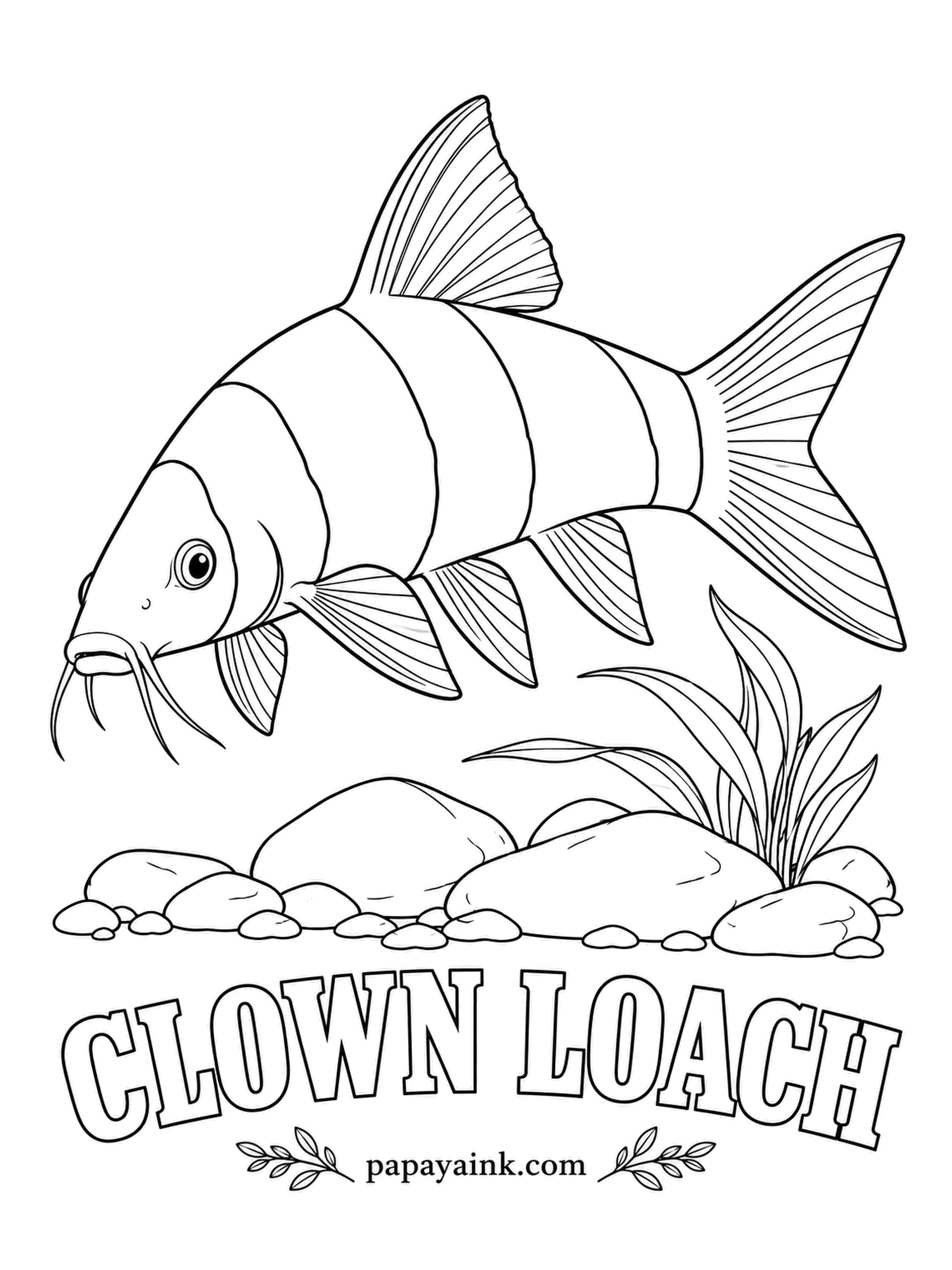 Aquarium Fish Coloring Pages - Every clown loach owner gets the scare sooner or later: the fish lies flat on its side as if dead, then swims off as soon as you reach for the net. Bright orange with three thick black bands and red fins.