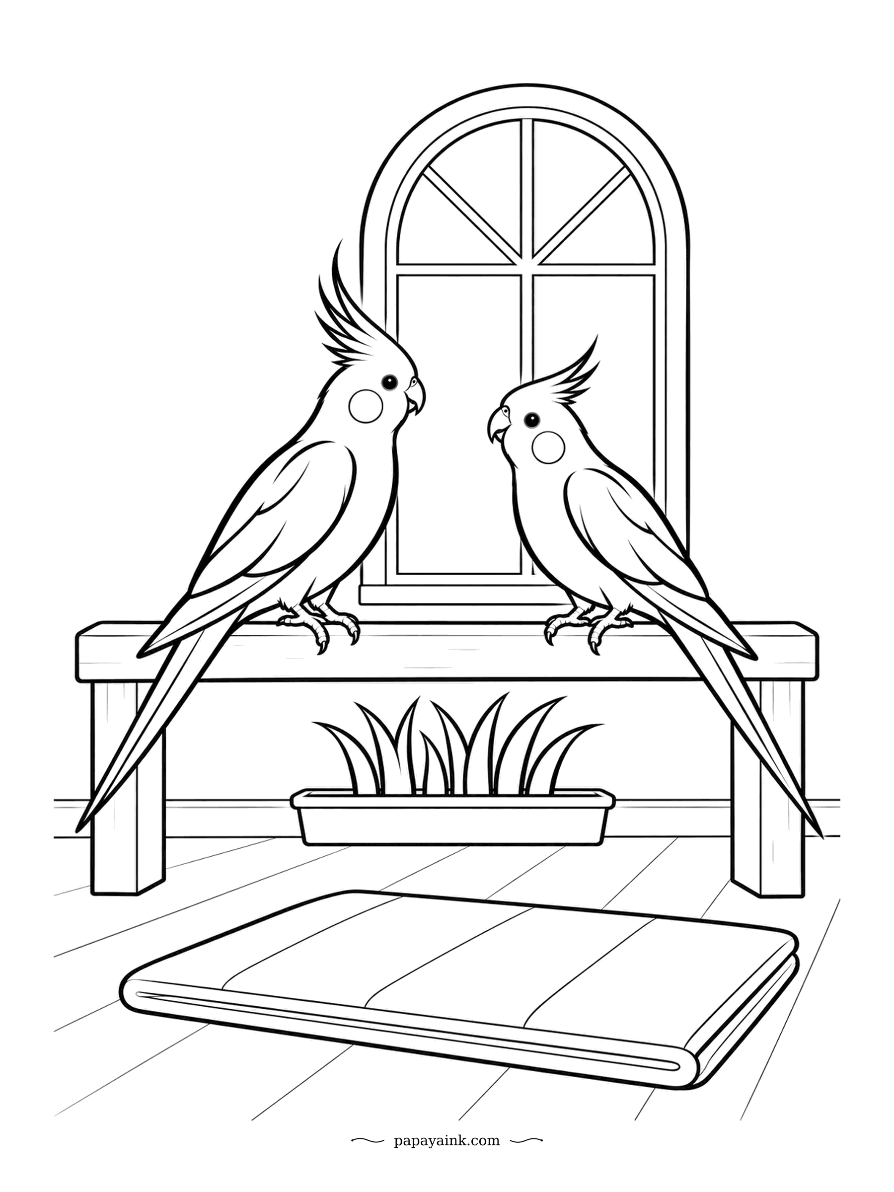 Parrot Coloring Pages - Two cockatiels say hello the cockatiel way: crests raised, heads tilted. A window, a bench and a folded mat complete the scene. Simple outlines with plenty of white space.