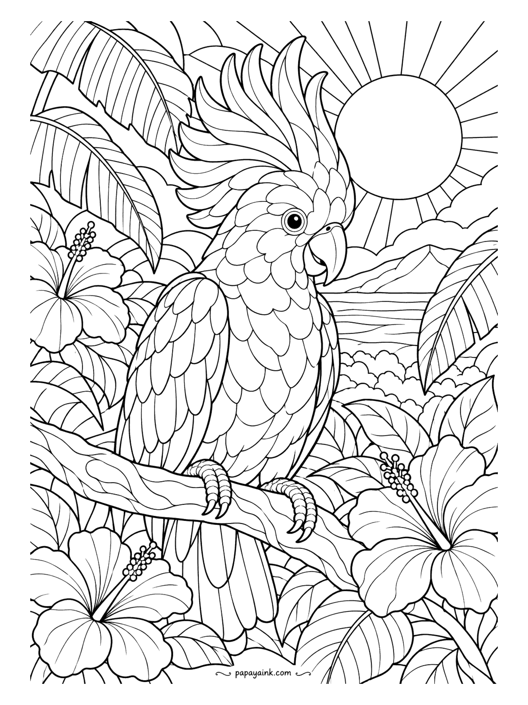 Parrot Coloring Pages - The crest goes up when a cockatoo is excited, and this one has spotted the sunset. Hibiscus and banana leaves frame the branch, with the sun in full rays behind. Keep the bird white and pour the color into the sky.
