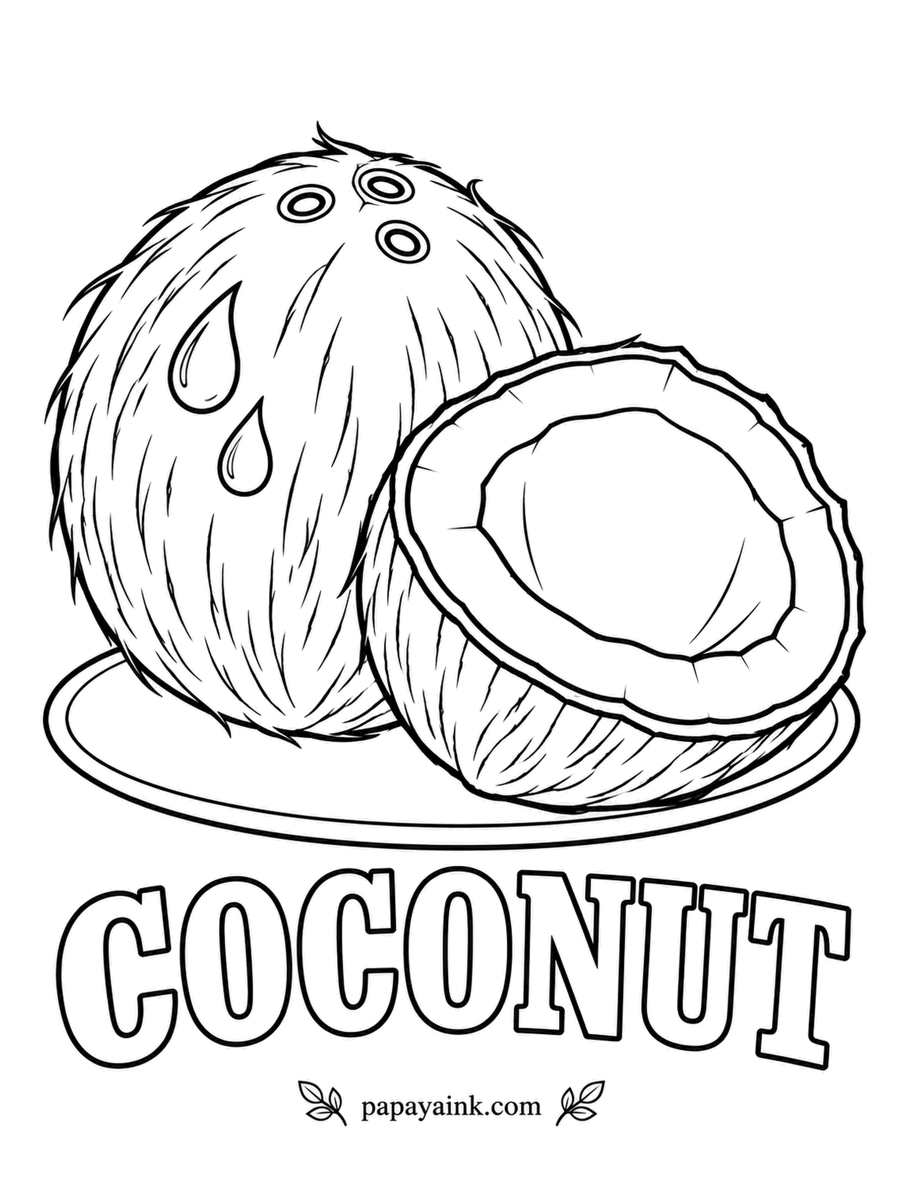 Printable Fruit Coloring Pages - Hairy brown husk with the three dark spots at the top, and a half cracked open to the white meat. Brown fibers, a thin dark shell ring and a clean white interior - the easiest palette in the set.