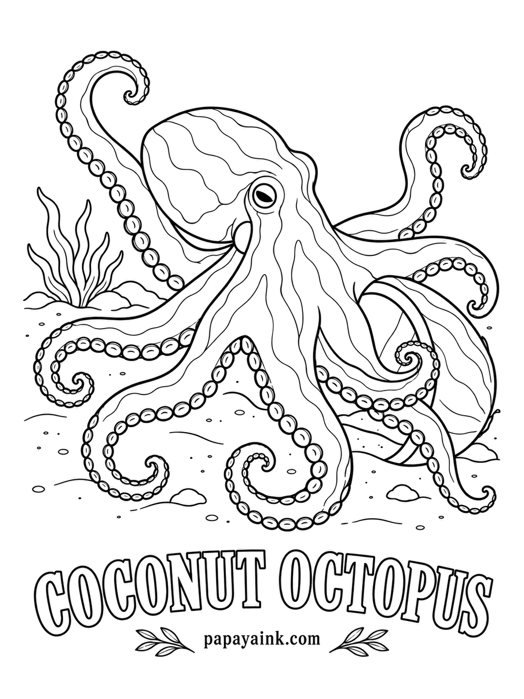 Sea Creature Coloring Pages - Caught on film carrying coconut halves across the sand and climbing inside if danger shows up, which makes it one of the few invertebrates known to use tools. The shell it clutches here is that portable house. Warm brown with darker veins, suckers pale.