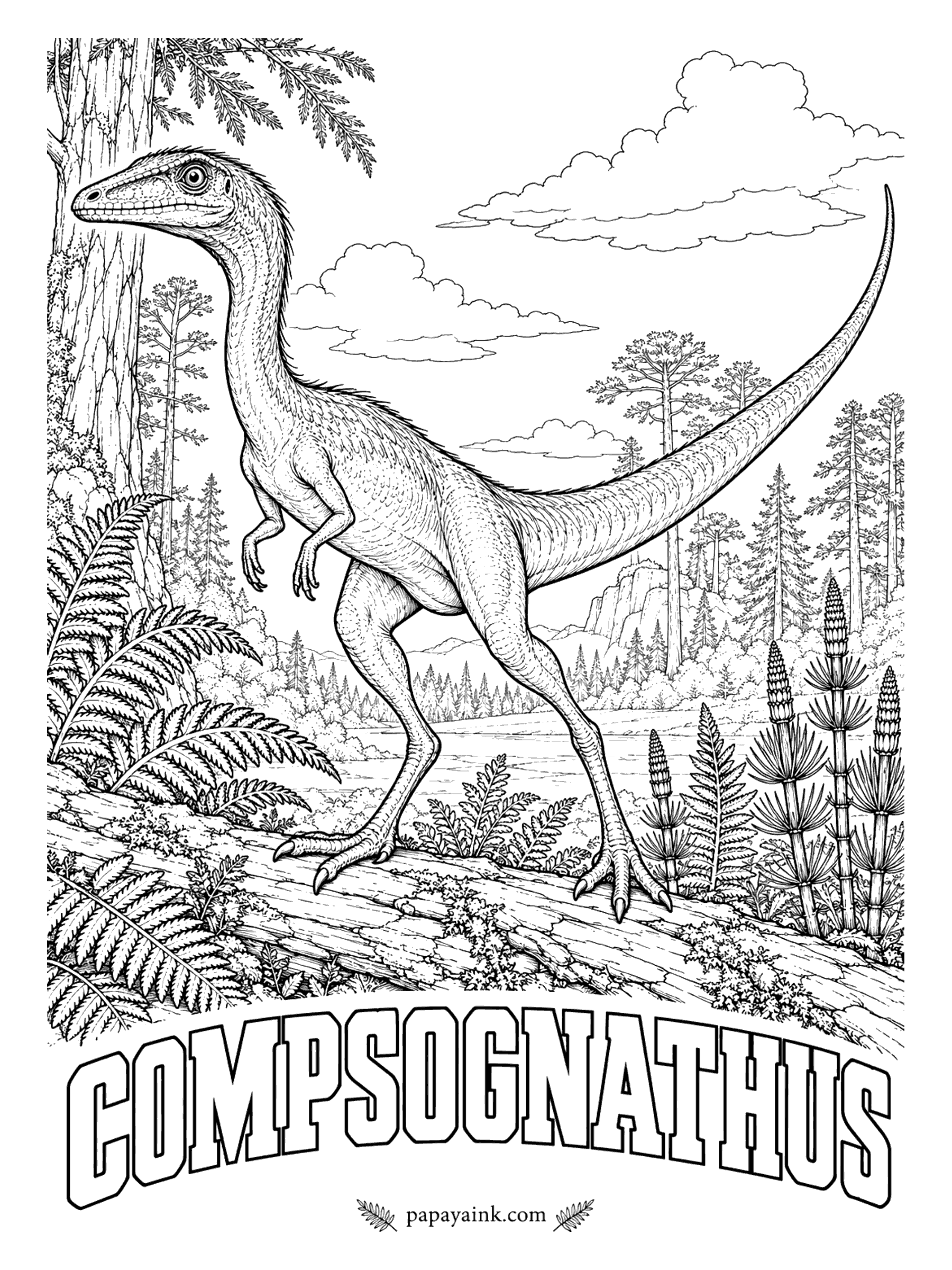 Free Printable Dinosaur Coloring Pages - Small enough to step over. Compsognathus (komp-sog-NAY-thus, elegant jaw) was a meat-eater about the size of a turkey, up to about four feet long with most of that in the tail, and one specimen still has its last meal, a lizard, inside. Germany and France, about 150 million years ago.