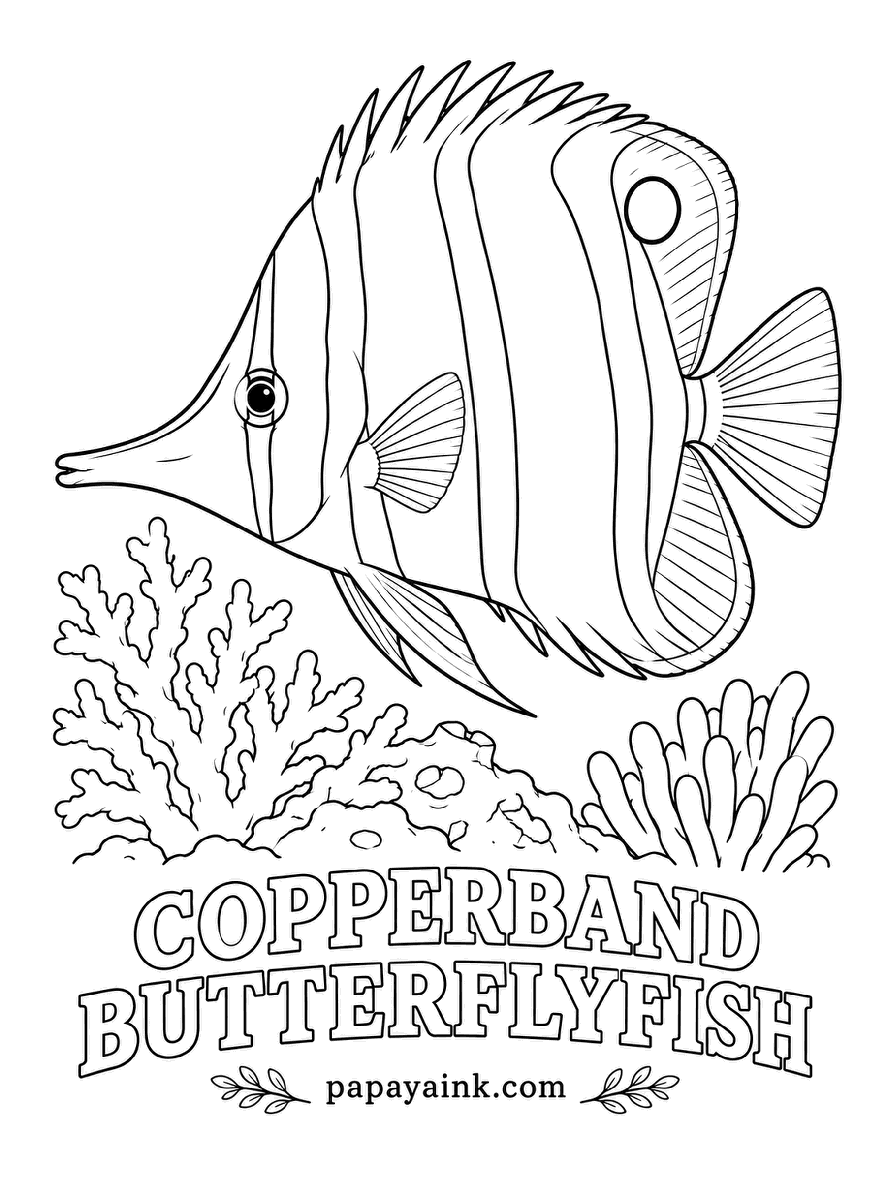 Ocean Fish Coloring Pages - Reef aquarium owners buy this fish for one job - it eats the pest anemones that take over home tanks. The false eye near the tail confuses predators about which way it will flee. Copper-orange bands edged in black, on white.
