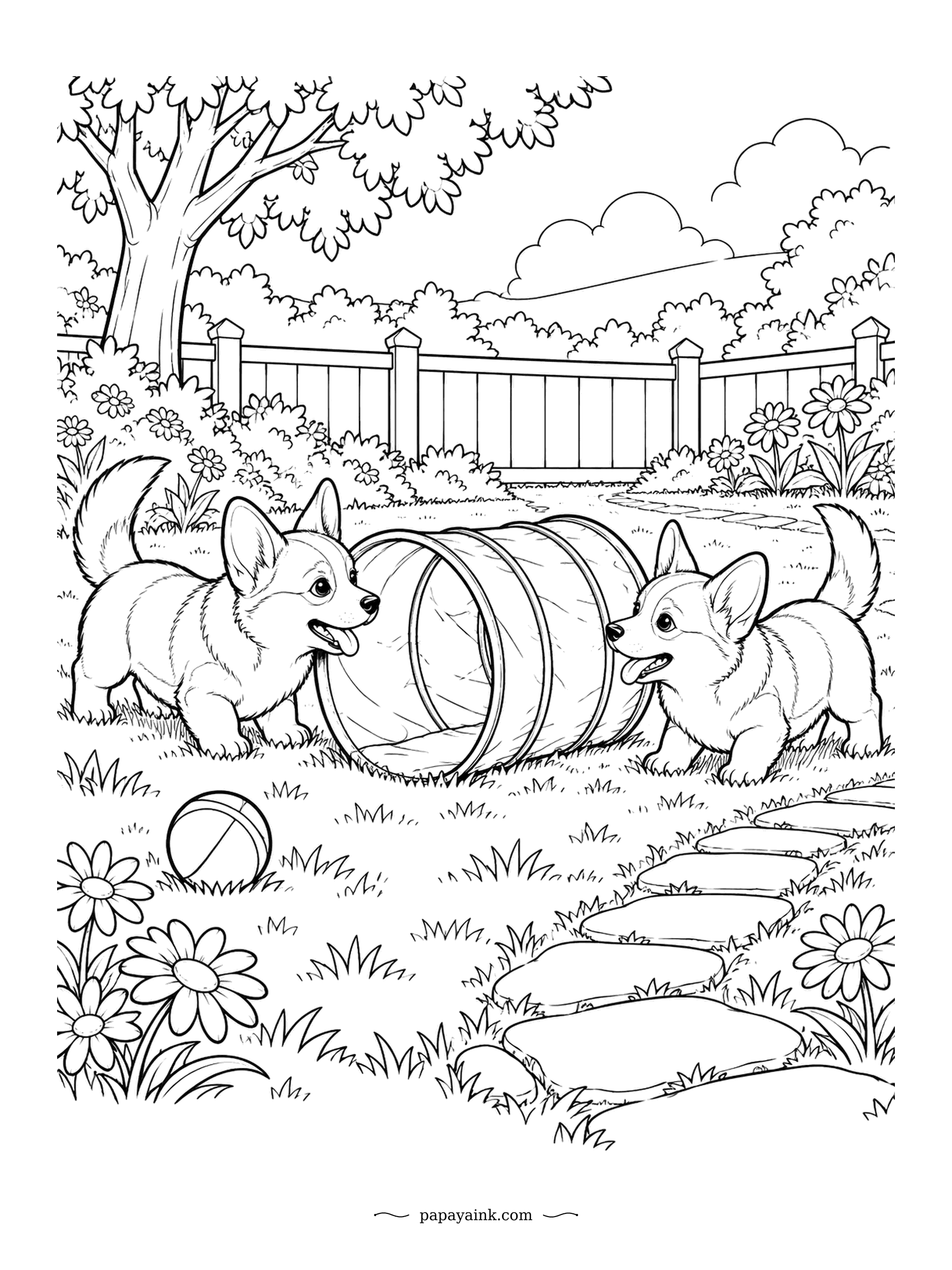 Corgi Coloring Pages - Two puppies, one play tunnel, and a disagreement about who goes through. Each has taken an end. The ball waits on the grass; the fence and daisies make the backyard. Bright nylon for the tunnel, red and white for the pups.