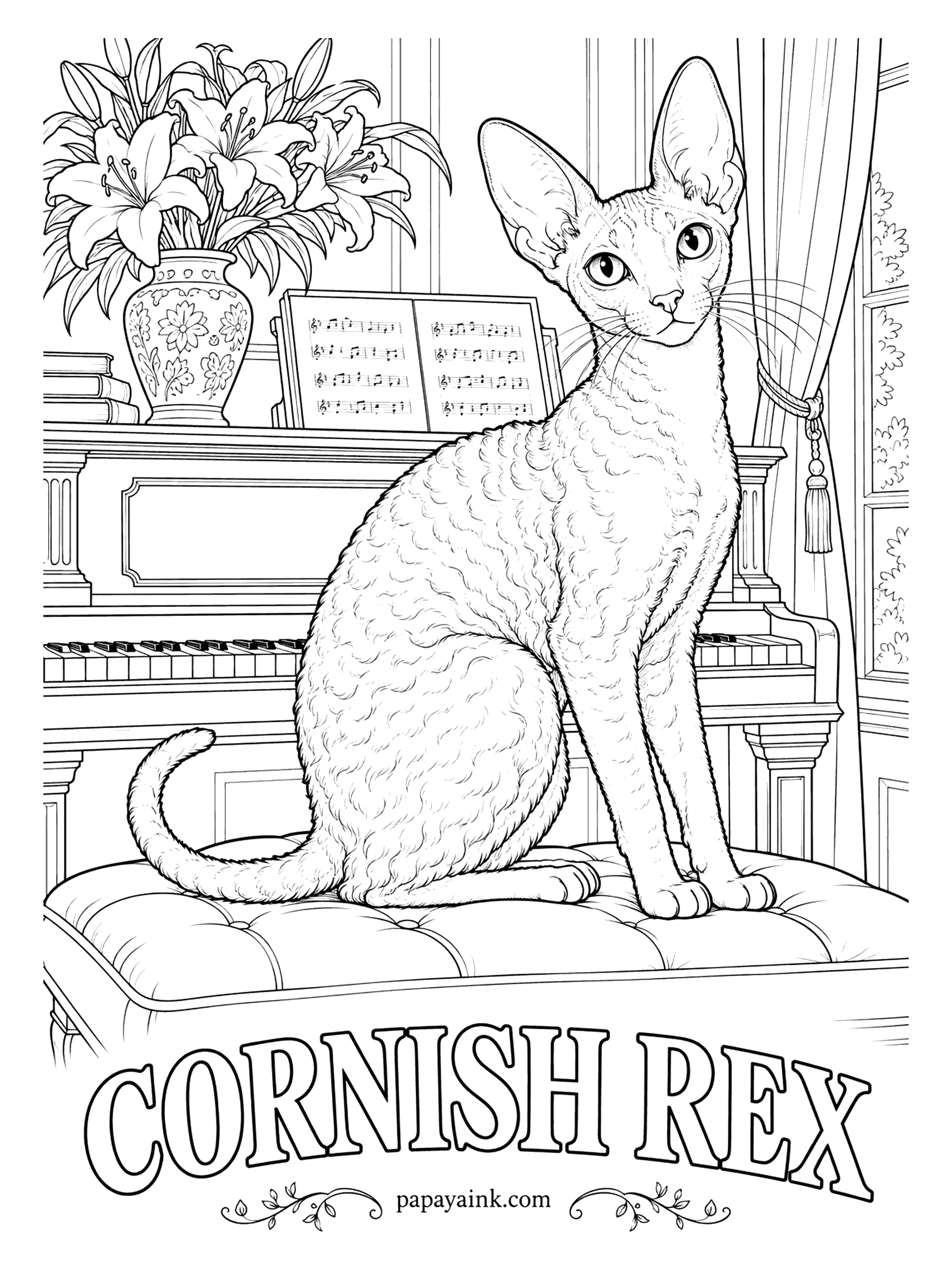 Free Printable Cat Coloring Pages - Tight marcel waves cover a Cornish Rex from head to tail, since the coat is all soft undercoat. Arched back, tiny waist, huge ears: a greyhound among cats, on a piano bench. White, black, red and calico are common; stroke along the waves.