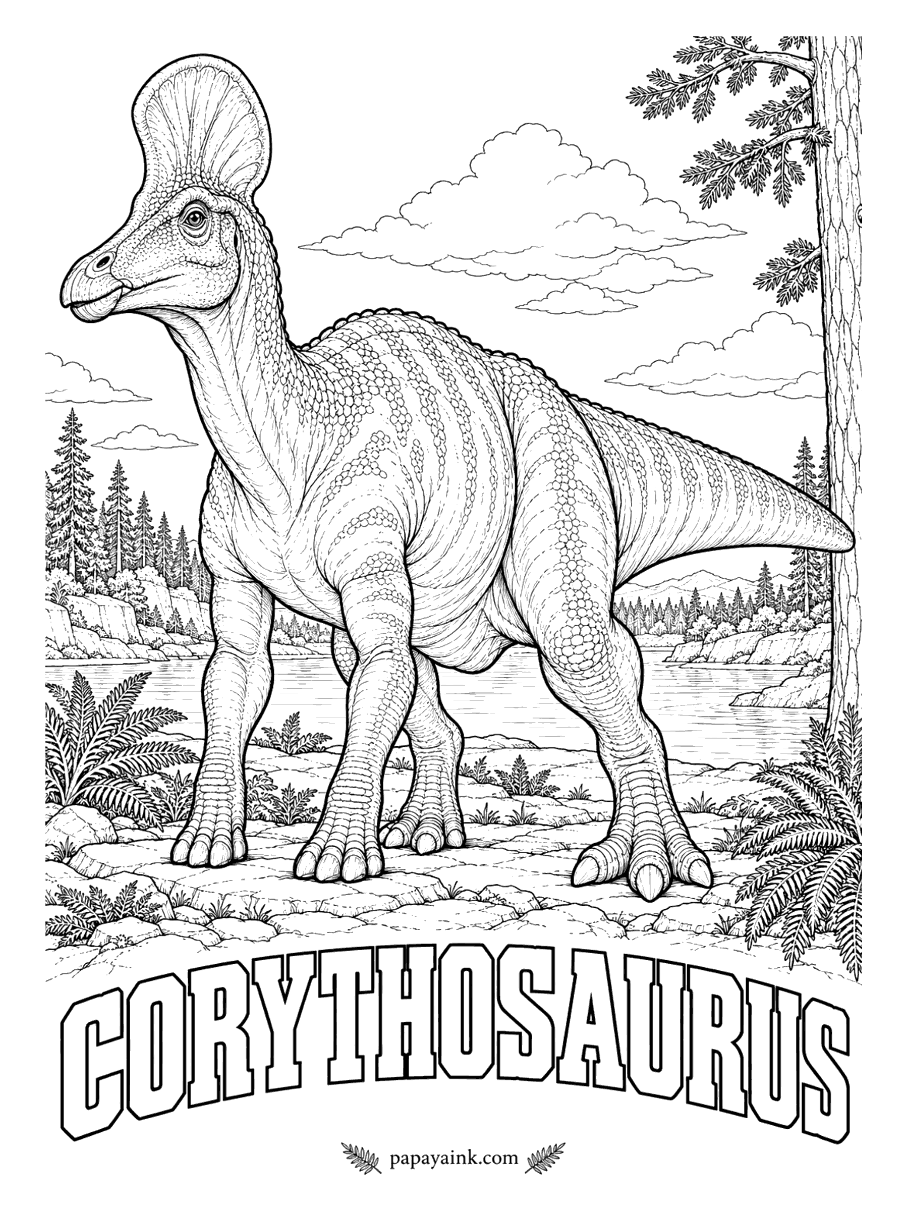 Free Printable Dinosaur Coloring Pages - Picture an ancient Greek helmet: that is the crest, and that is the name. Corythosaurus (koh-RITH-oh-SORE-us, helmet lizard) was a duck-billed plant-eater about 30 feet long. Its skin is known from fossils, and two skeletons went down in the Atlantic with their cargo ship in 1916. Alberta, Canada, about 76 million years ago.
