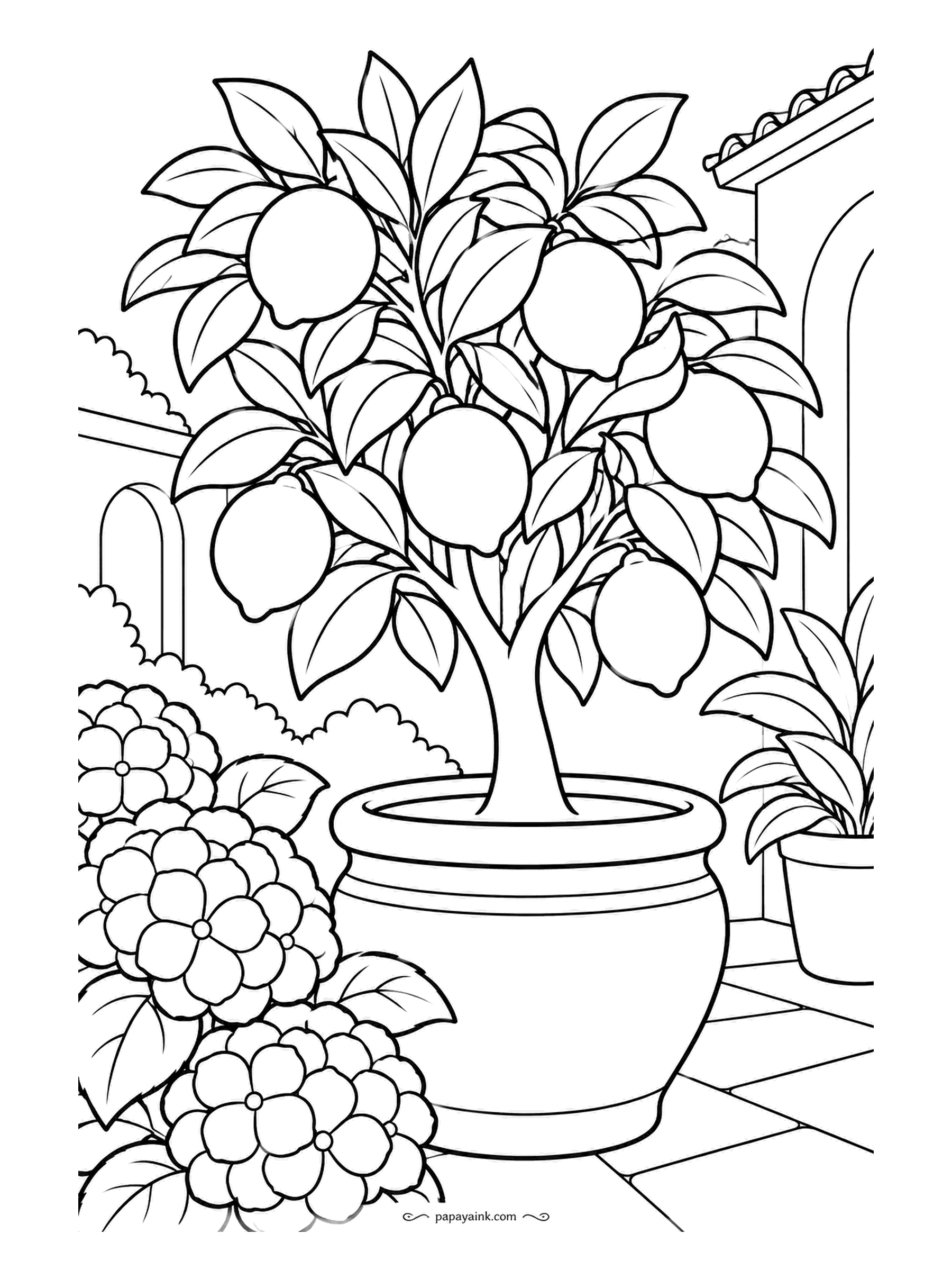 Garden Coloring Pages - A lemon tree in a fat terracotta pot holds the middle of a tiled courtyard, hydrangeas pushing in from the corner, arched doorways at the back. Yellow fruit against glossy dark leaves is the whole point; muted sand tones for the walls and tiles.