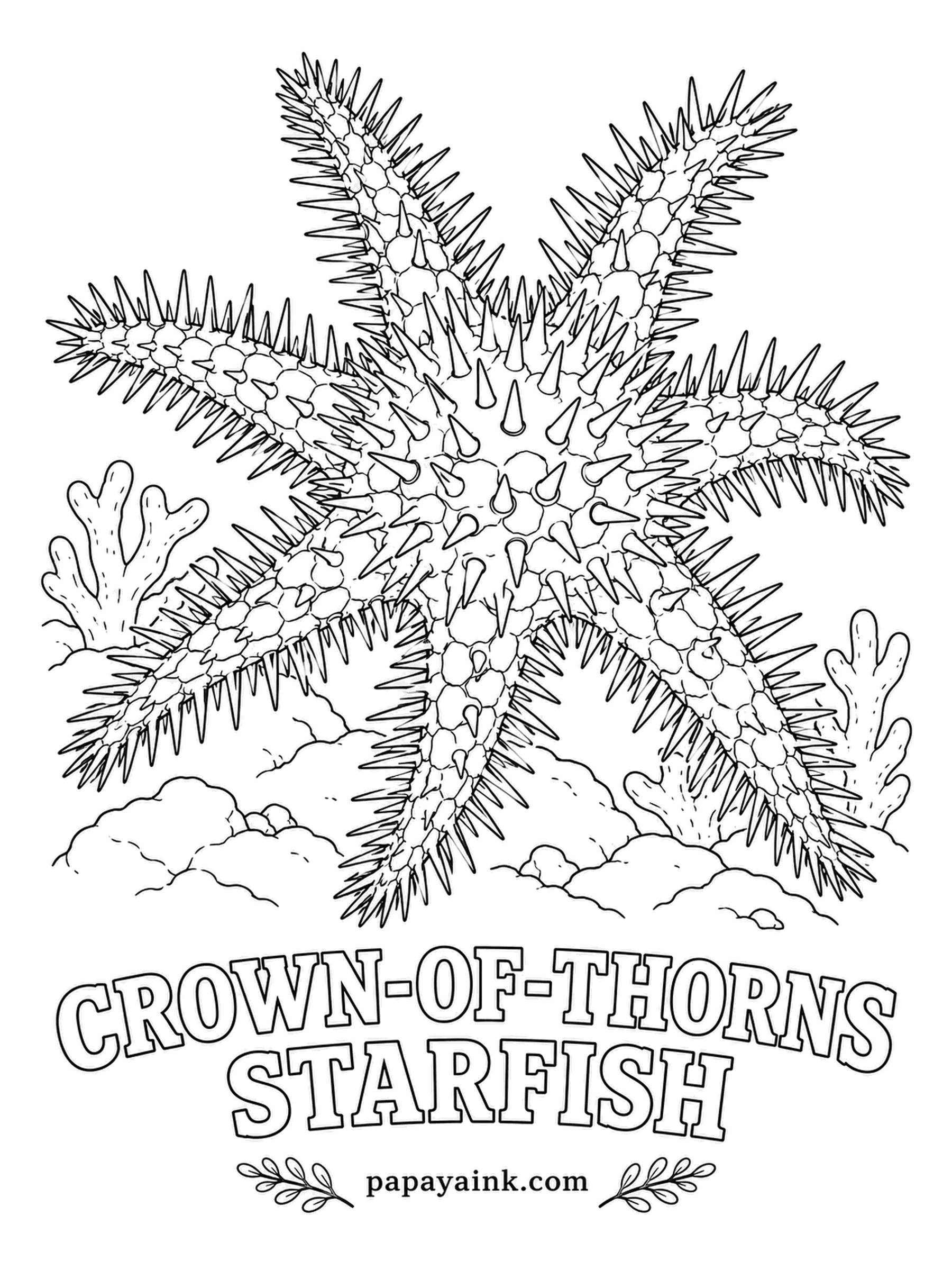 Sea Creature Coloring Pages - Dinner for this spiny sea star is coral, and the method is unusual: it pushes its own stomach out through its mouth, spreads it over the reef and digests in place. Steer clear of the spines. Purple-gray body, red to orange spine tips. Detailed.