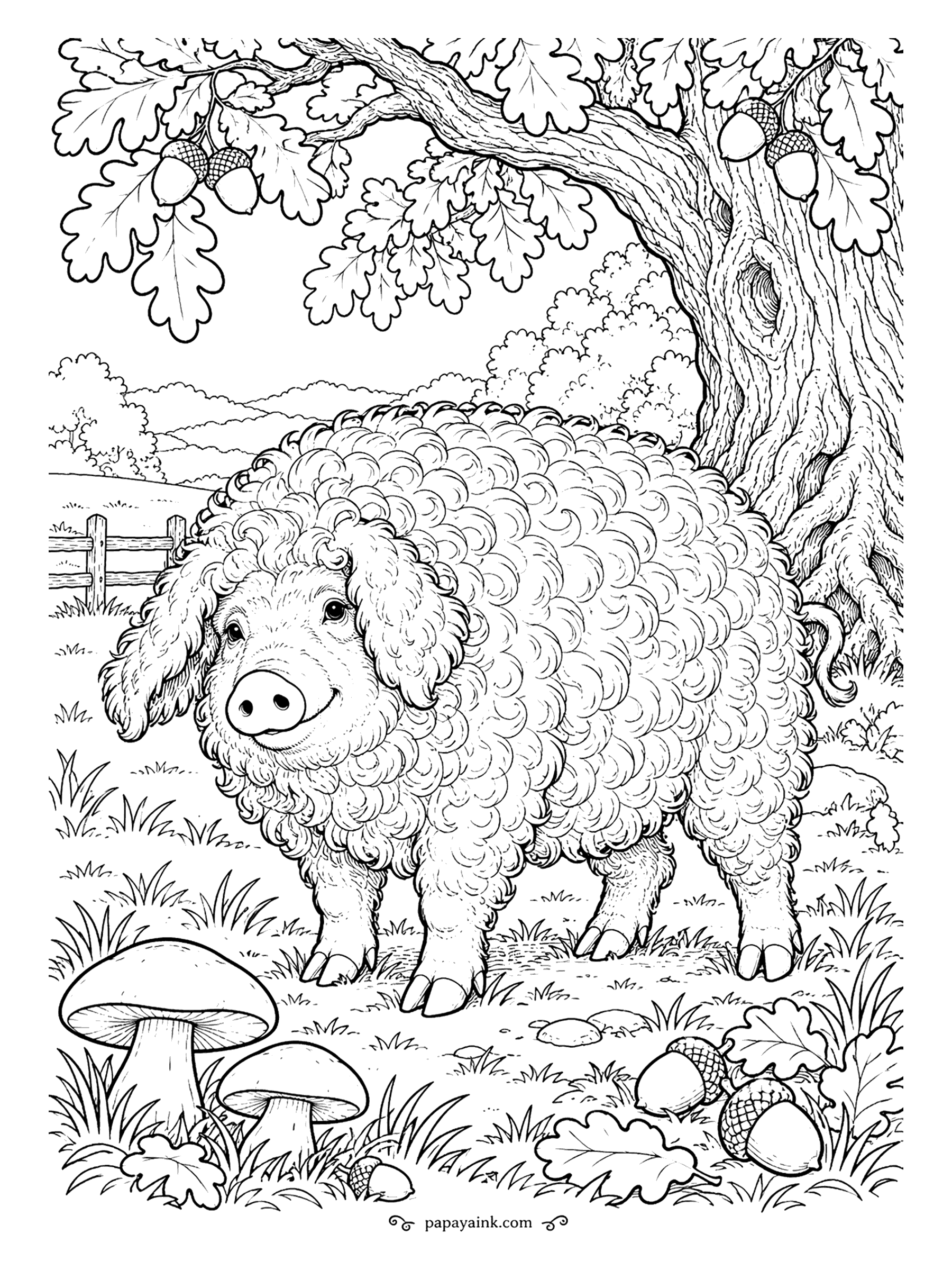 Pig Coloring Pages - A Mangalitsa, the Hungarian breed with a fleece like a sheep, standing under an oak among mushrooms and fallen acorns. Mangalitsas come in blond, red and swallow-bellied black, so take your pick. Detailed, curl by curl.