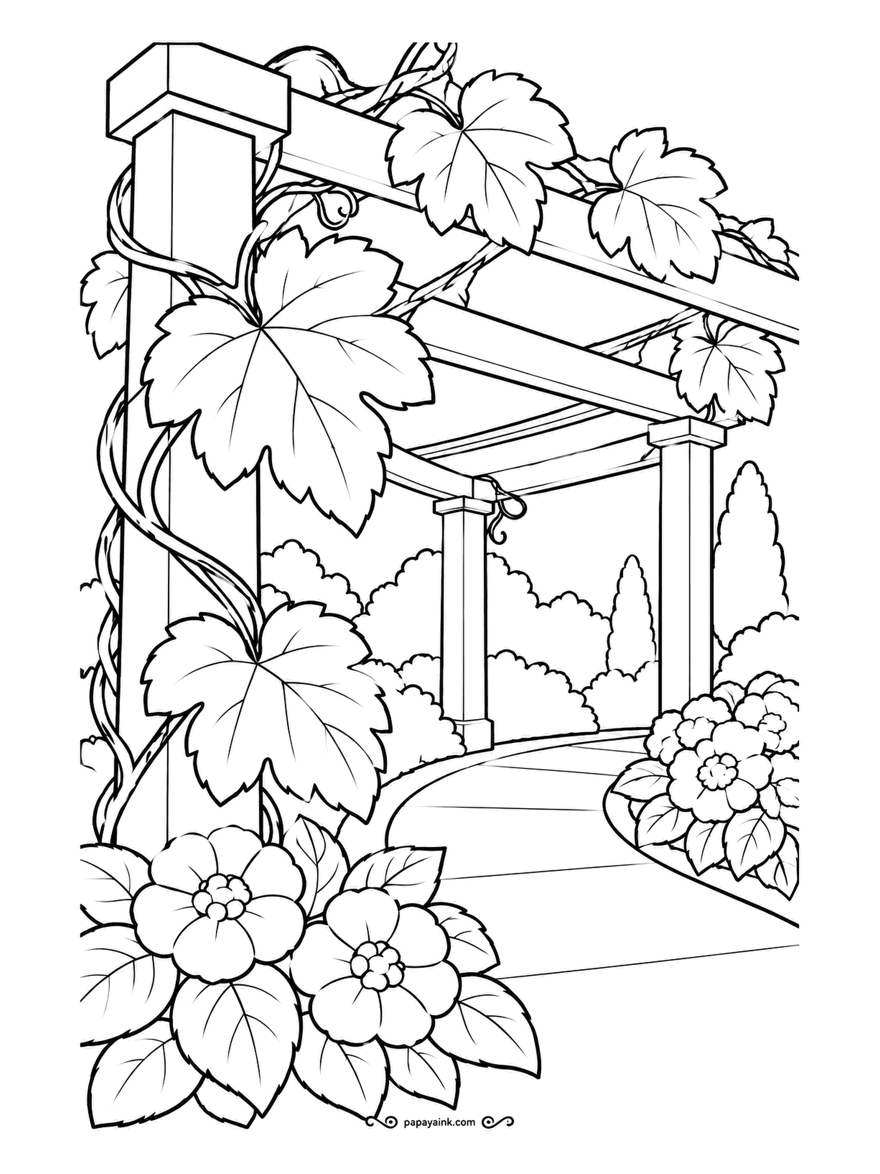 Garden Coloring Pages - Grapevine twists up the nearest post and spreads along the beams of a pergola curving away into the garden, with camellia-style blooms anchoring the bottom corner. The big lobed grape leaves are the stars; give them a vivid green and let the timber stay brown.