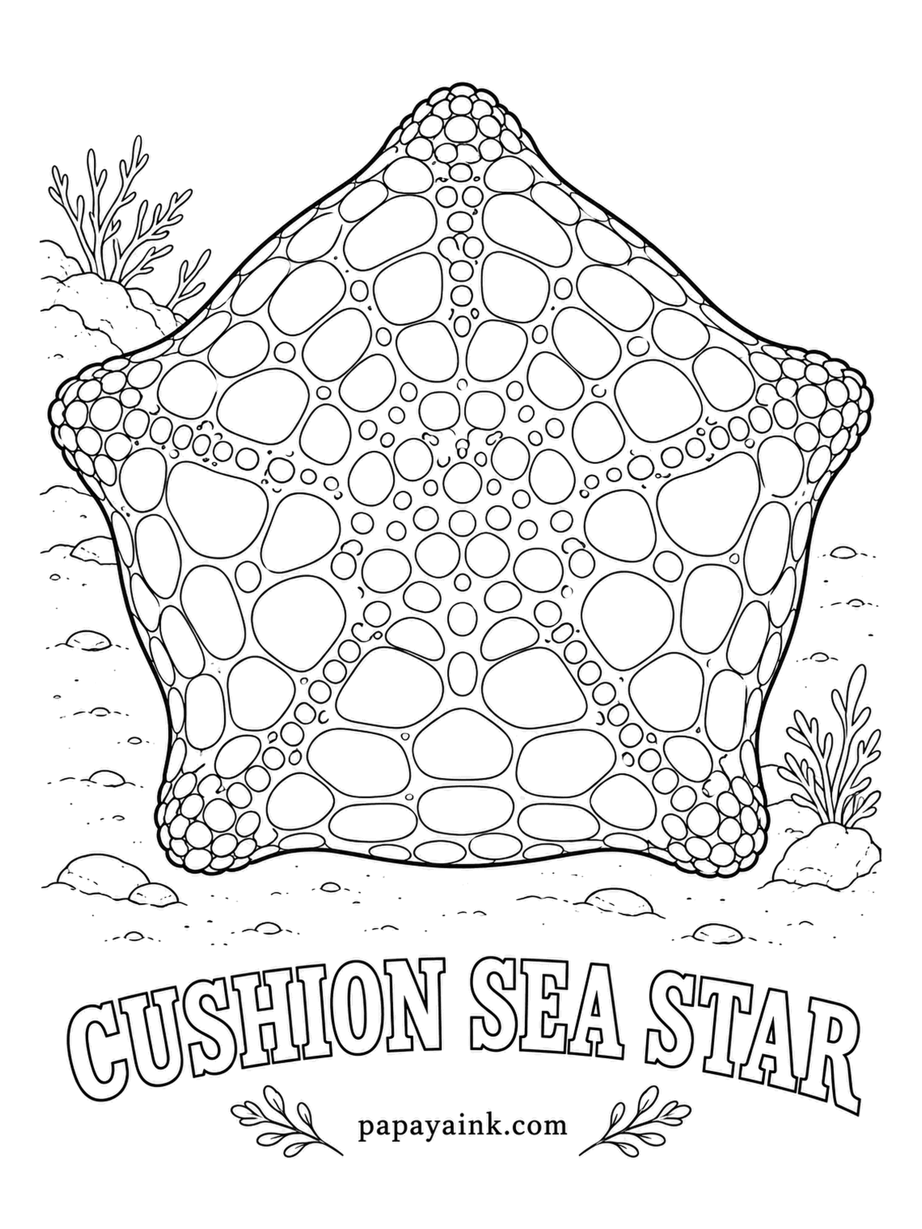 Sea Creature Coloring Pages - Young ones start out with proper arms, then keep inflating until the star becomes a plump pentagon you could mistake for a pillow. Every bump is a small hard plate. Orange, red, green or brown all occur; mottle two shades for depth. Detailed.