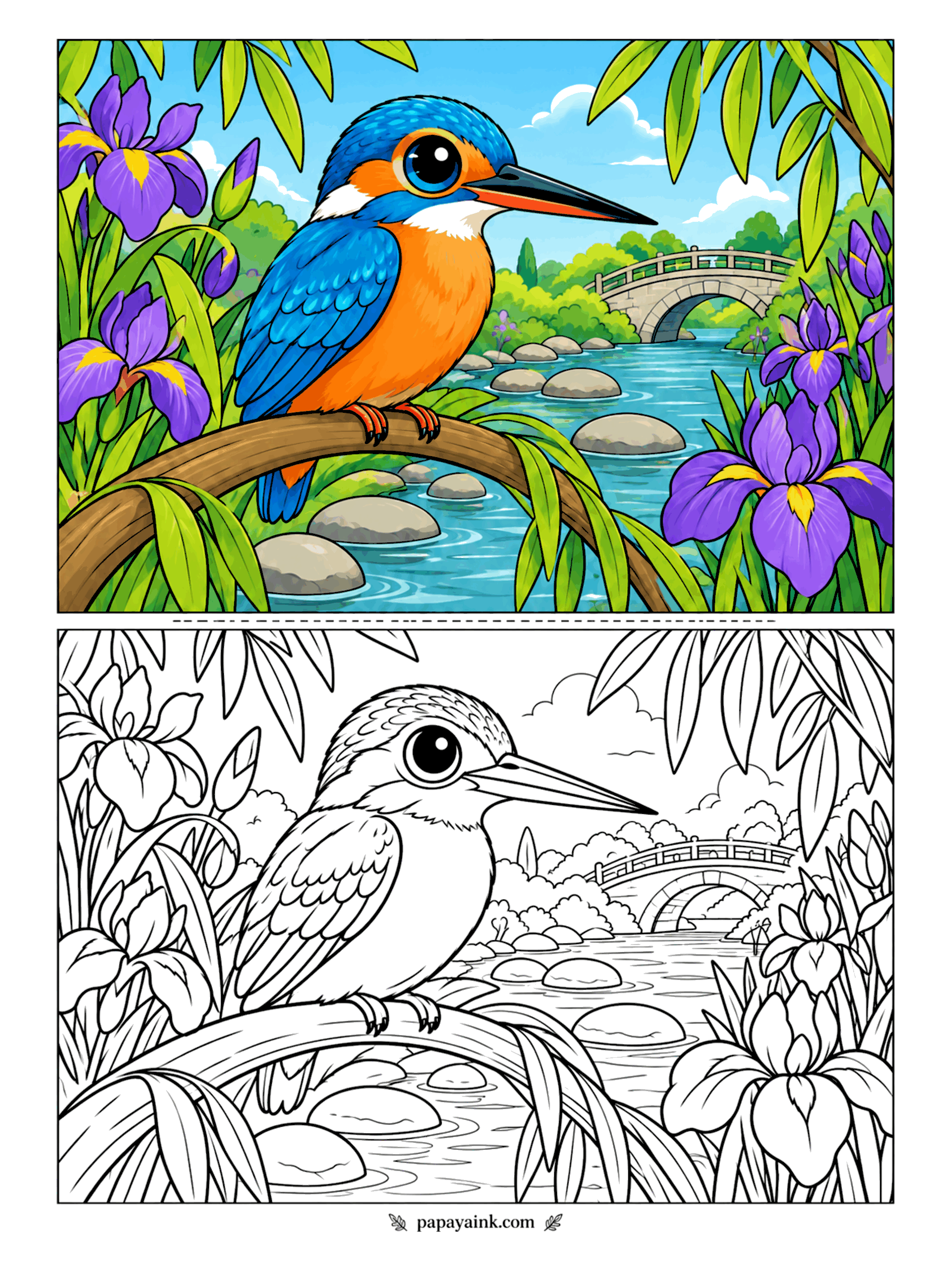 Cute Animal Coloring Pages - Perched on a branch over a slow river, a kingfisher sits among purple irises with a stone bridge behind. Electric blue back, orange chest, and a long dark bill - small bird, big colors. Detailed background.