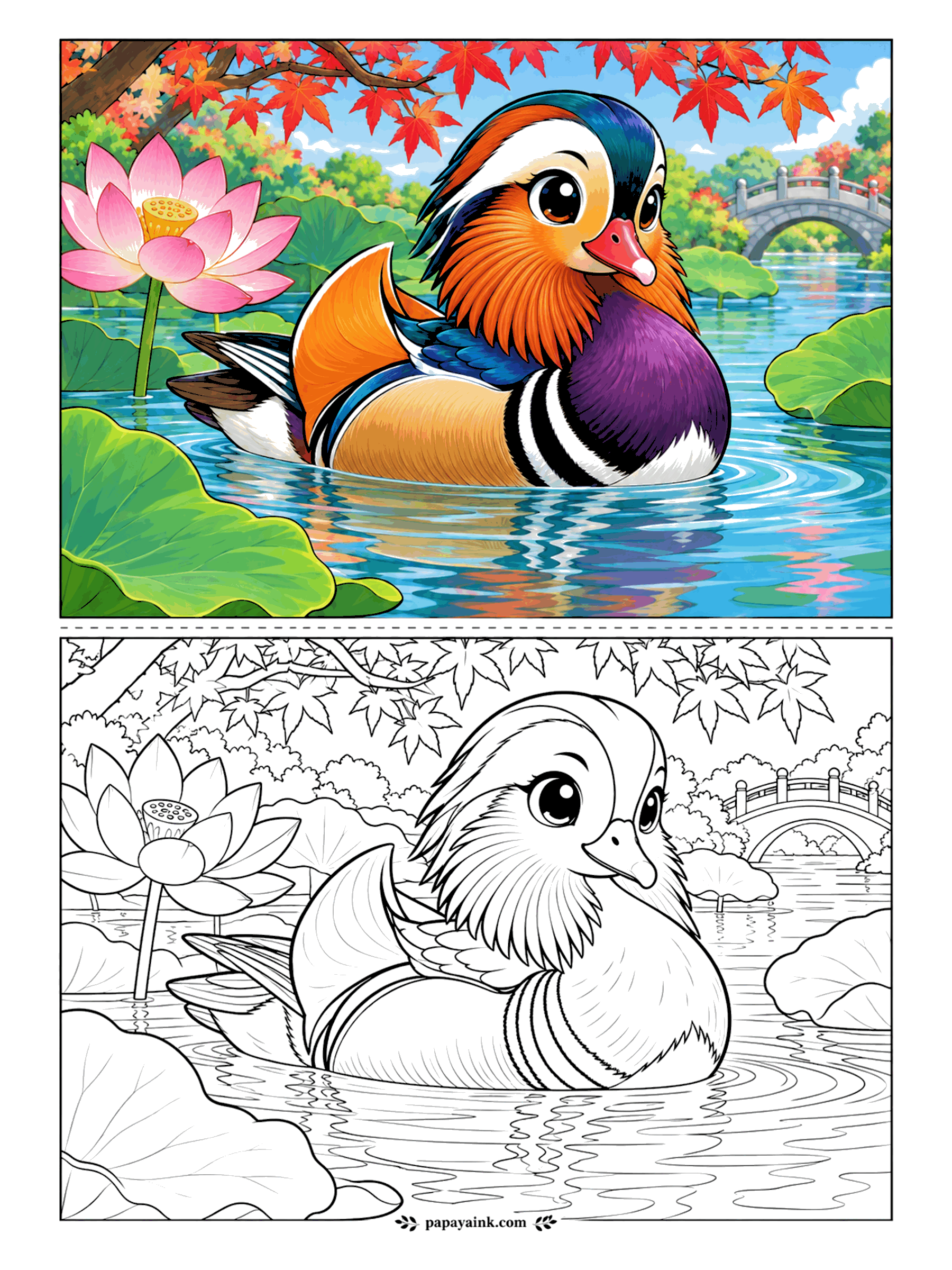 Cute Animal Coloring Pages - Possibly the most overdressed duck alive. A mandarin drake glides across a lotus pond, red maple leaves overhead and an arched bridge in the distance. Orange sails, purple chest, striped sides - follow the sample closely here.