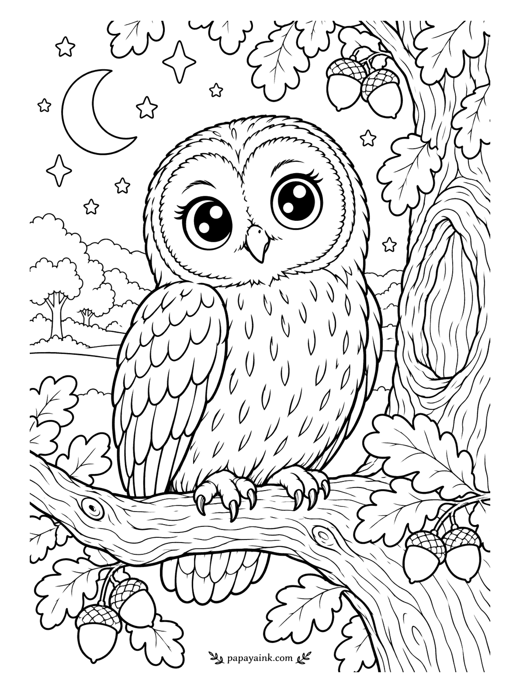 Cute Animal Coloring Pages - Midnight in the oak tree. A round-faced owl perches beside a hollow in the trunk, acorns hanging around it and a crescent moon among the stars. Try a deep blue sky to make the feathers stand out.