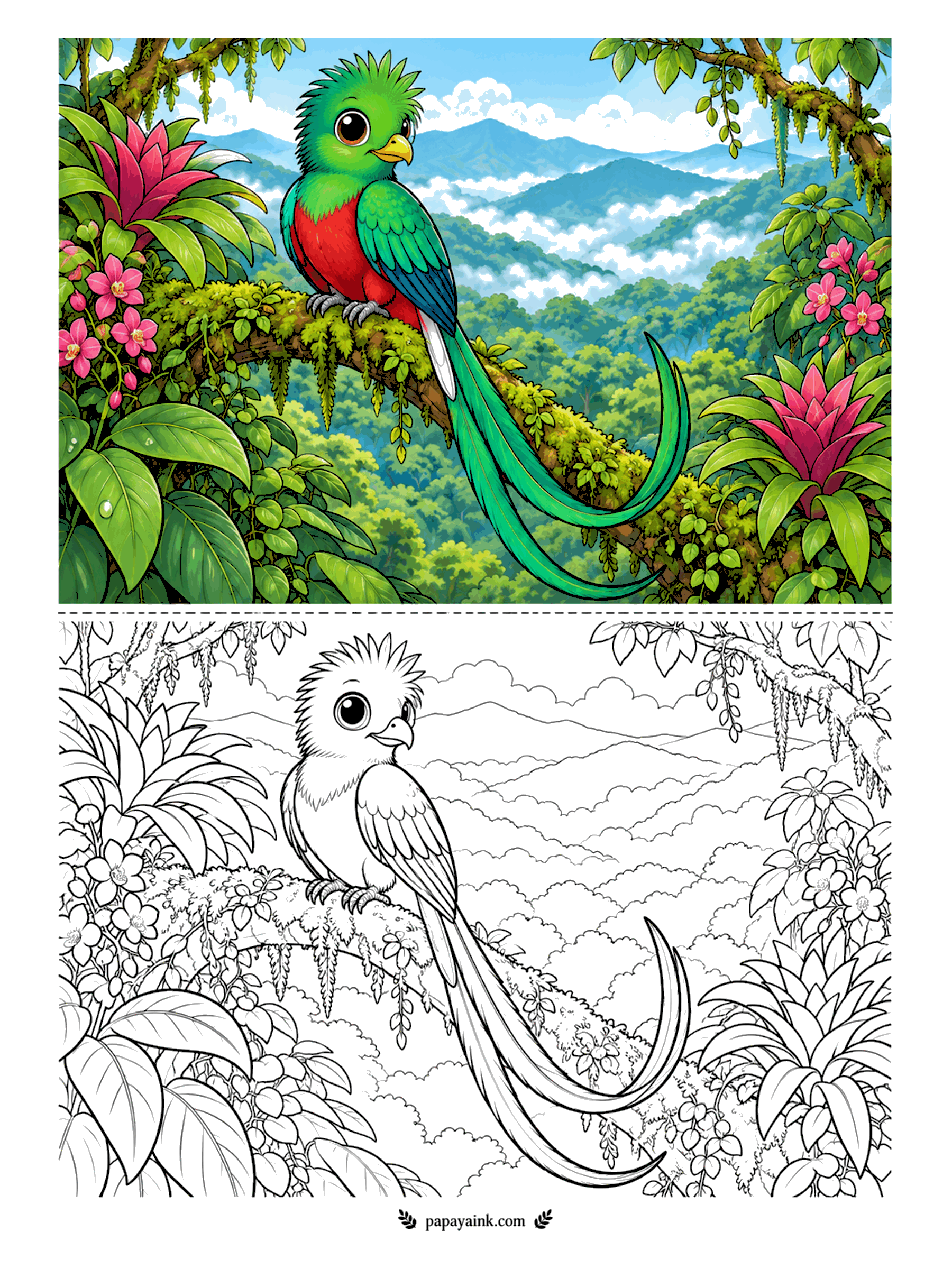 Cute Animal Coloring Pages - Those long streamers are not actually its tail - they are covert feathers that grow over it. A resplendent quetzal sits on a mossy branch above a misty cloud forest. Emerald on top, crimson underneath. Detailed.