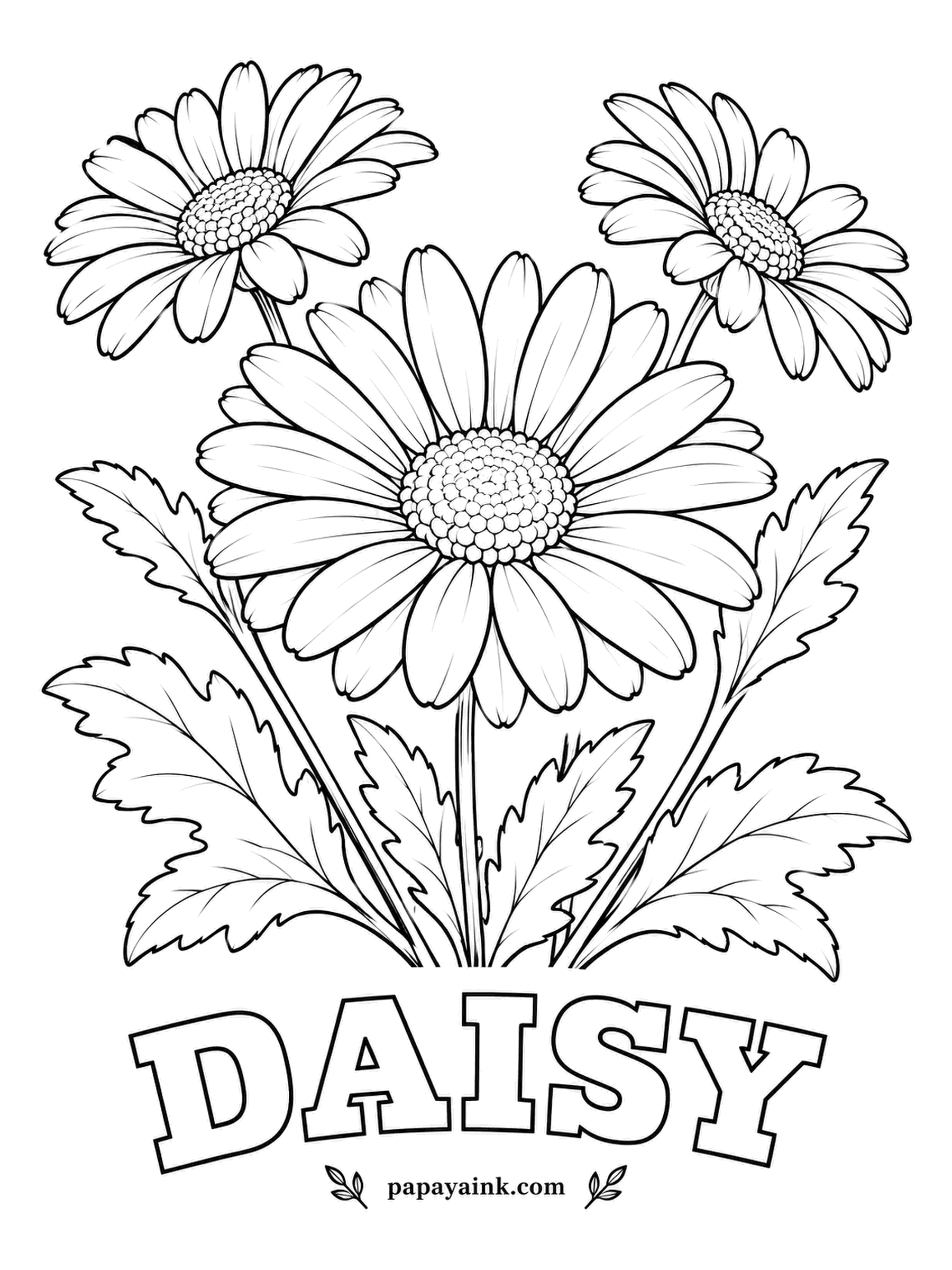 Free Flower Coloring Pages - Daisy started out as day's eye, because the English daisy opens at sunrise and closes at dusk. White petals need almost no color: leave the paper bare, add a faint gray-blue shadow at each base and save the bright yellow for the dotted centers.