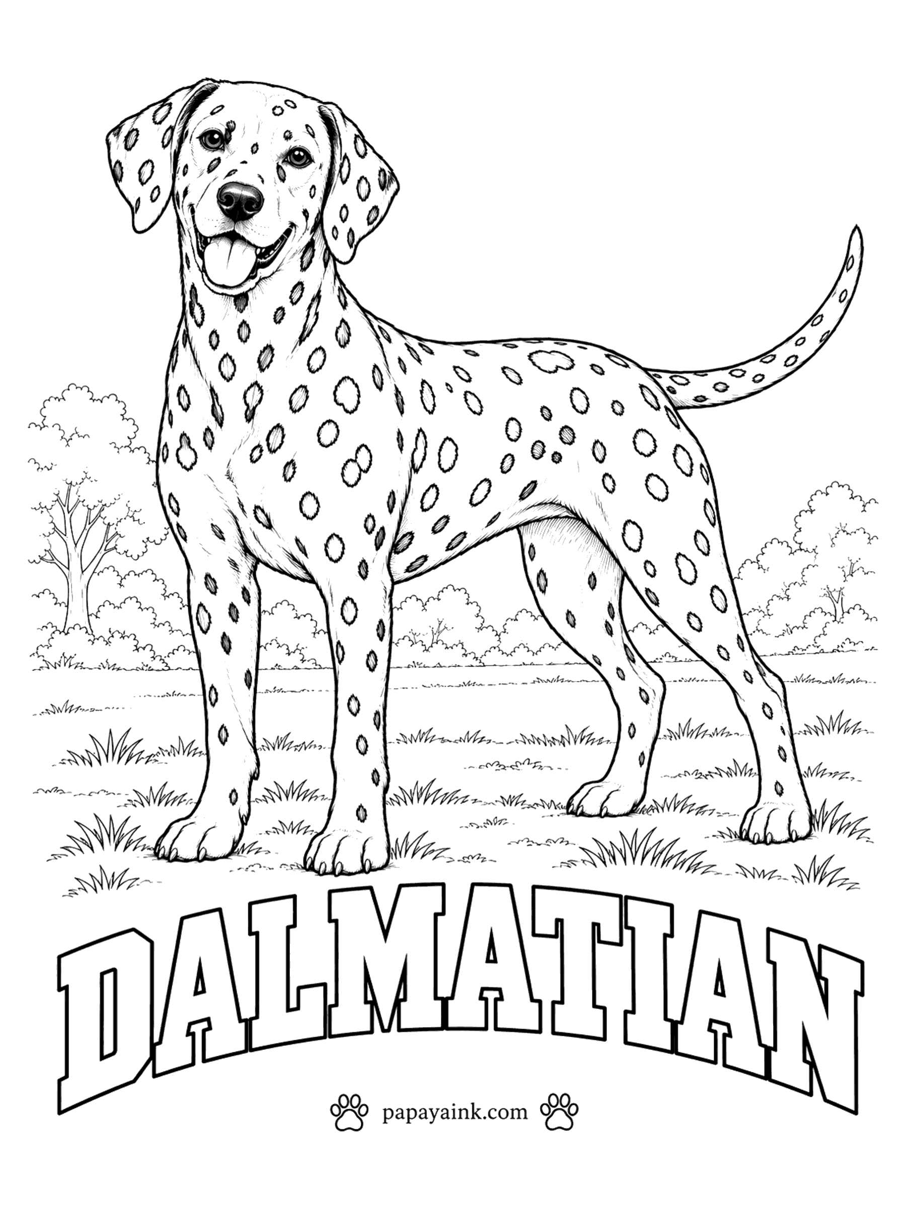 Free Printable Dog Coloring Pages - Born pure white, a Dalmatian gets its spots during the first weeks of life. Fill them black or liver brown, never both on one dog. The spots are drawn as open rings, so each one is yours to color. Nose matches the spots.
