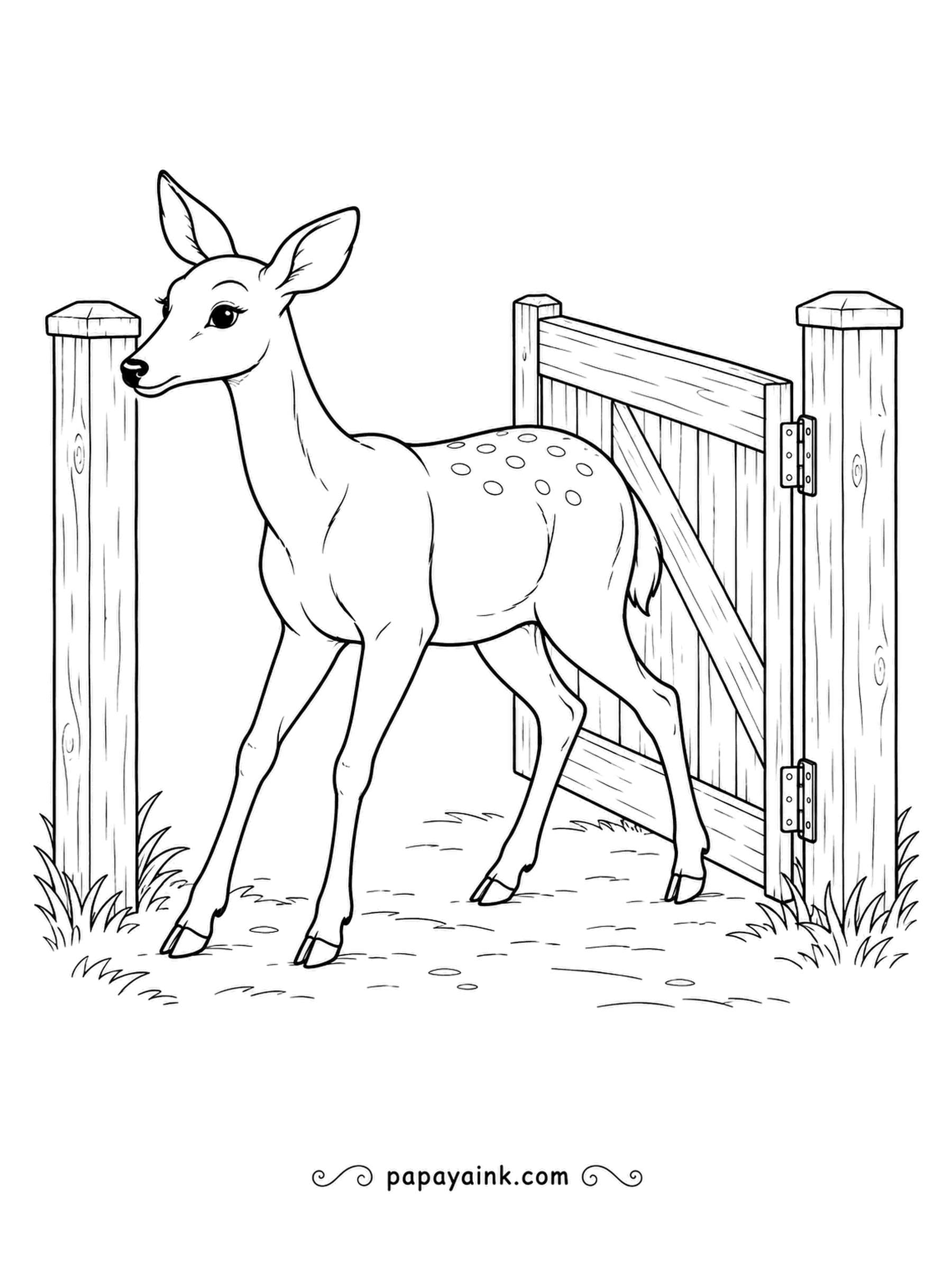 Deer Coloring Pages - The garden gate swings open on its hinges, and a spotted fawn steps through onto the path. Timber posts, grass tufts and a dusty trail. Natural and gentle.