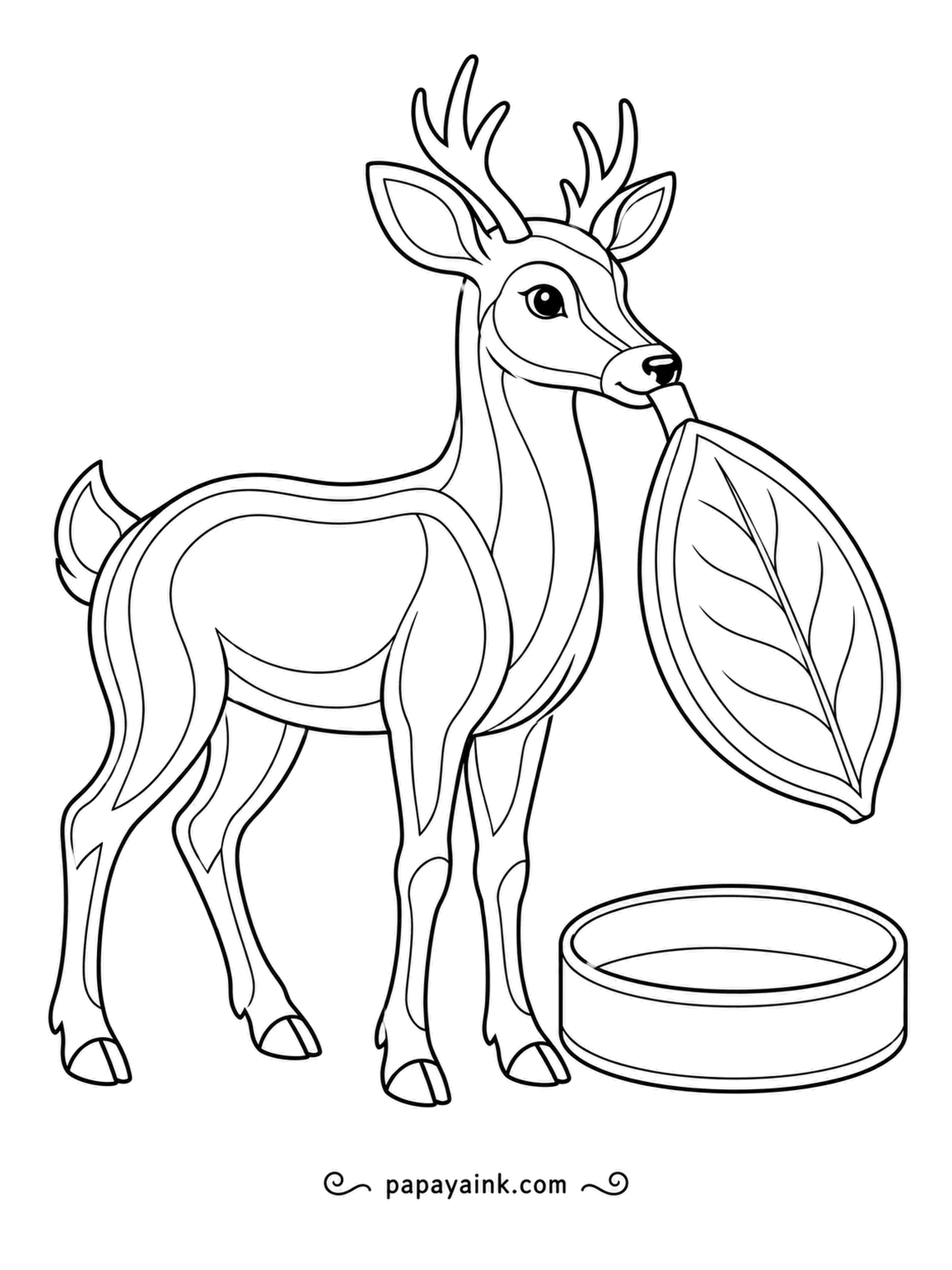 Deer Coloring Pages - A round box with a lid shaped like a giant leaf, and a young buck lifting it off in his teeth to peek inside. Double contours - mossy greens for the lid.