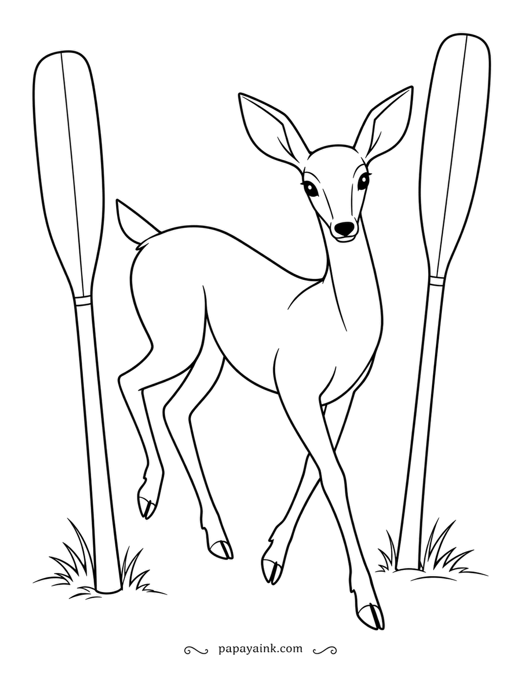 Deer Coloring Pages - Paddles planted upright on the lawn, and a deer threads between them like a slalom skier. Long legs, clean contours and plenty of open space.