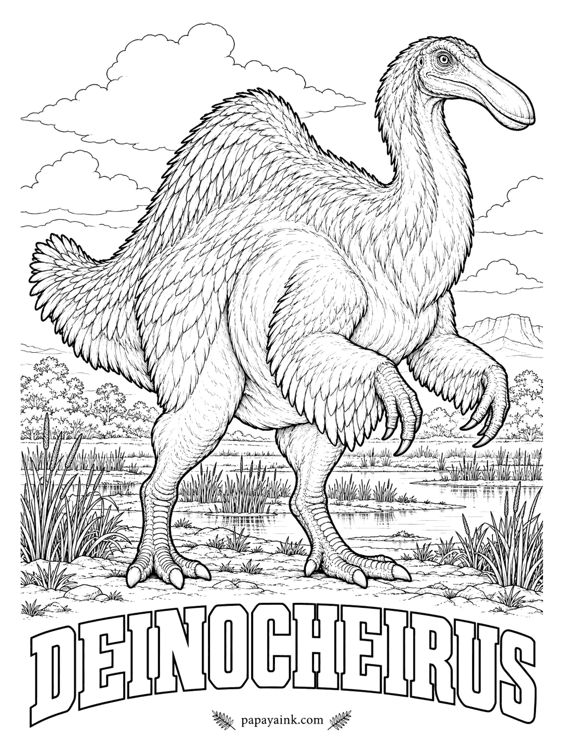 Free Printable Dinosaur Coloring Pages - Nothing but a pair of eight-foot arms: for almost fifty years that was all anyone had of this dinosaur. The rest, when it turned up, was stranger than any guess - a humped back, a duck-like bill, and a stomach holding fish bones beside the swallowed stones of a plant-eater. Deinocheirus (DINE-oh-KIE-rus, terrible hand) was about 36 feet long. Mongolia, about 70 million years ago.