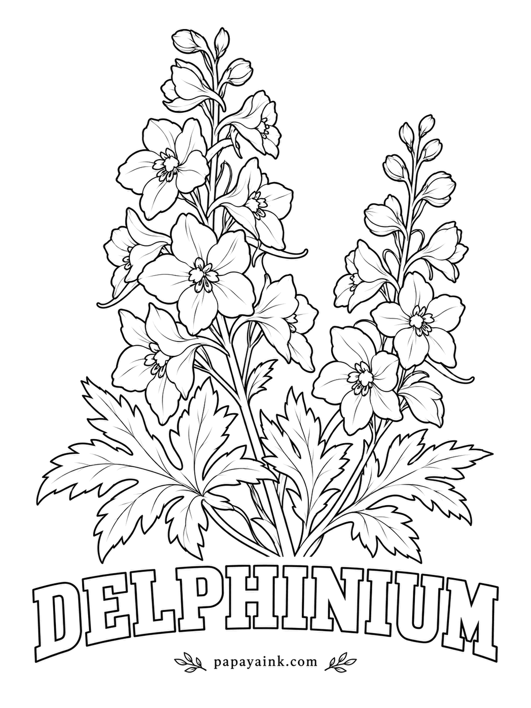 Free Flower Coloring Pages - Tall delphinium spikes often need a stake, since a single summer storm can flatten them. True blue is their specialty, though lavender and violet types grow too; the small eye of each floret, called the bee, looks good in a dark contrasting shade. Detailed.