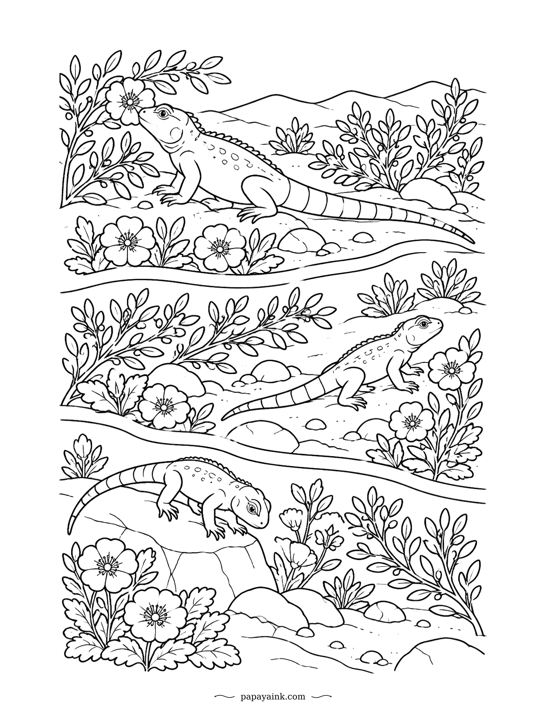 Lizard Coloring Pages - Three desert iguanas on three terraces of a flowering hillside, each one sampling the blossoms. They really do eat flowers, especially creosote bush in spring. Folk-art rows of bushes and blooms.