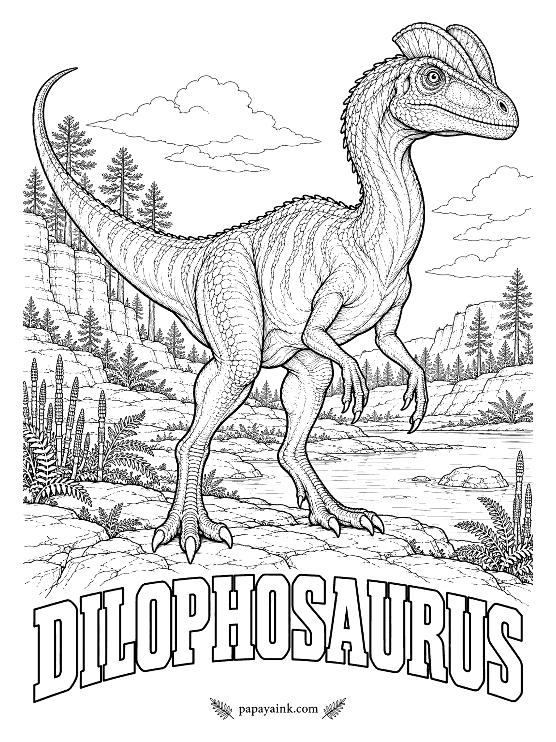 Free Printable Dinosaur Coloring Pages - The neck frill and the venom spit were invented for the movies - the fossils show neither. What Dilophosaurus (die-LOAF-oh-SORE-us, two-crested lizard) did have was a pair of thin crests on its head. A meat-eater about 20 feet long. Arizona, about 185 million years ago, early in the Jurassic.