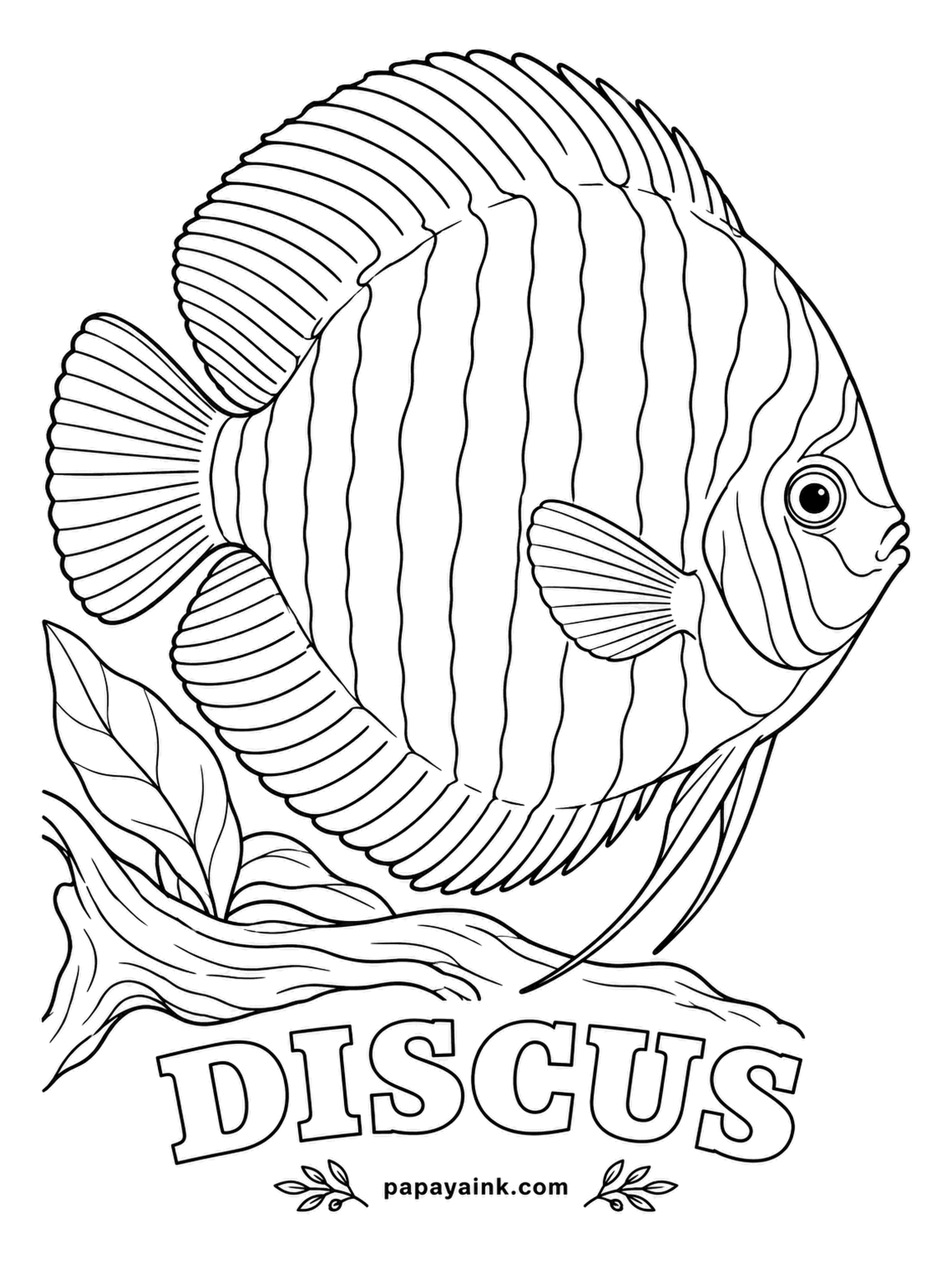 Aquarium Fish Coloring Pages - Discus parents feed their newborn fry on a mucus their own skin produces, so the babies simply graze on mom and dad. This round, flat Amazon cichlid is crossed by dark bars. Detailed - start with warm brown and run turquoise lines over it.