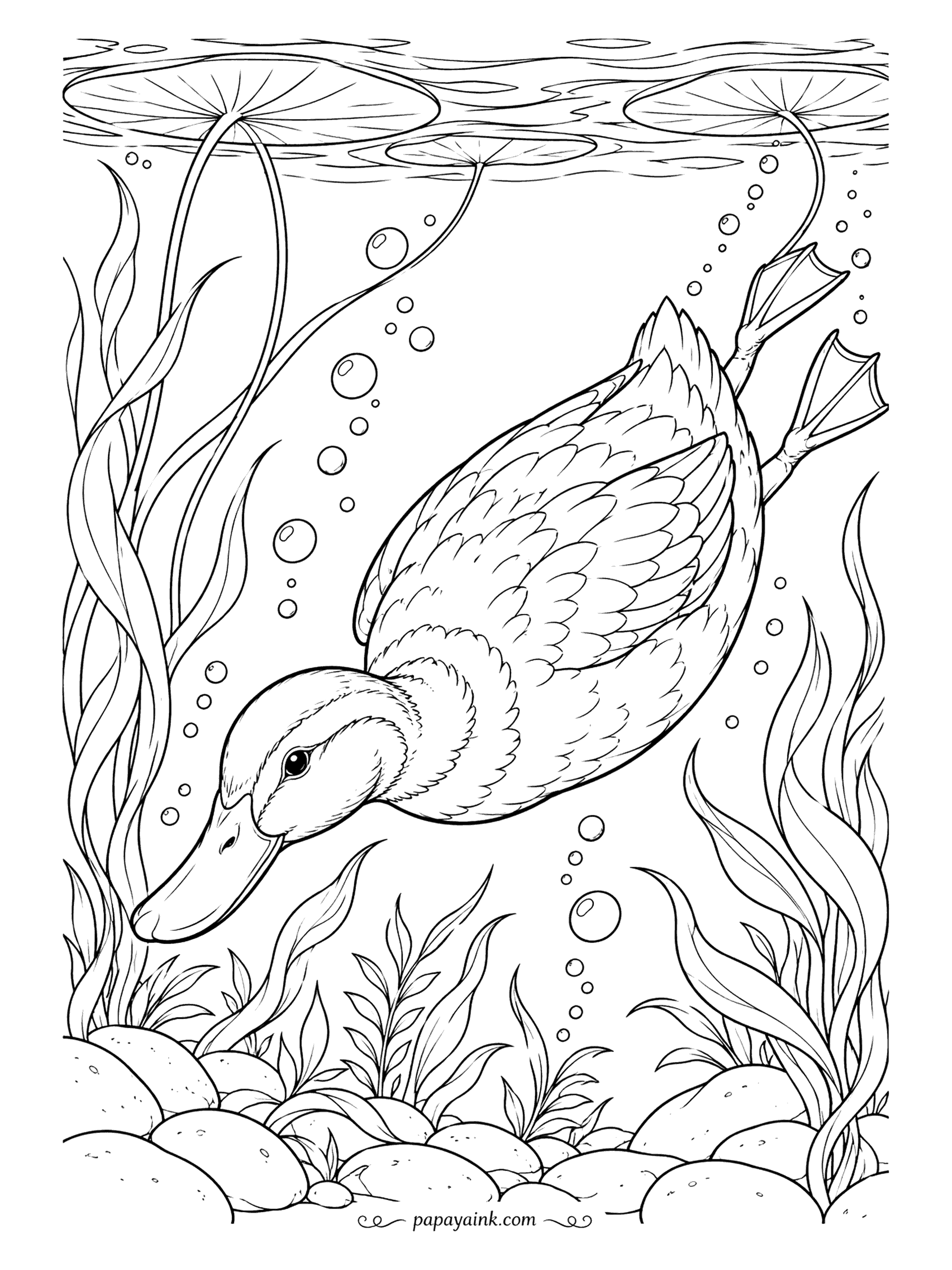 Duck Coloring Pages - Seen from below the surface, a duck dives head-first past bubbles, waving weeds and a bed of pebbles, with lily pads floating above. It asks for blues and greens and rewards soft blending.