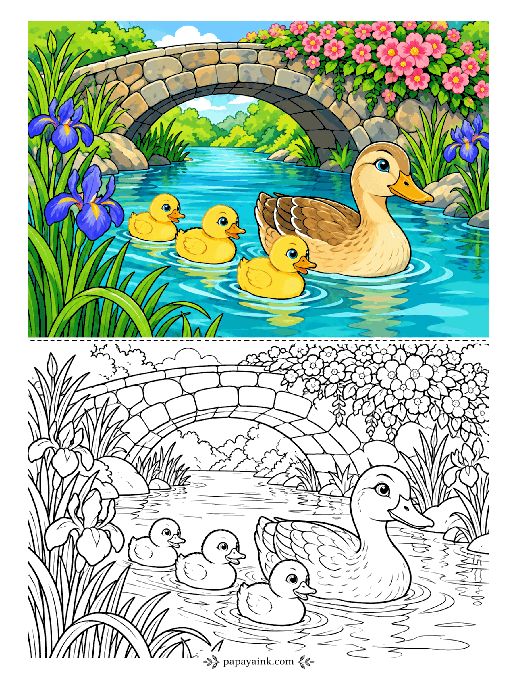 Duck Coloring Pages - Three ducklings paddle after their mother through the arch of an old stone bridge, pink roses spilling over the top, irises on both banks. Yellow fluff, blue water, grey stones. Detailed - plenty of ripples and petals.
