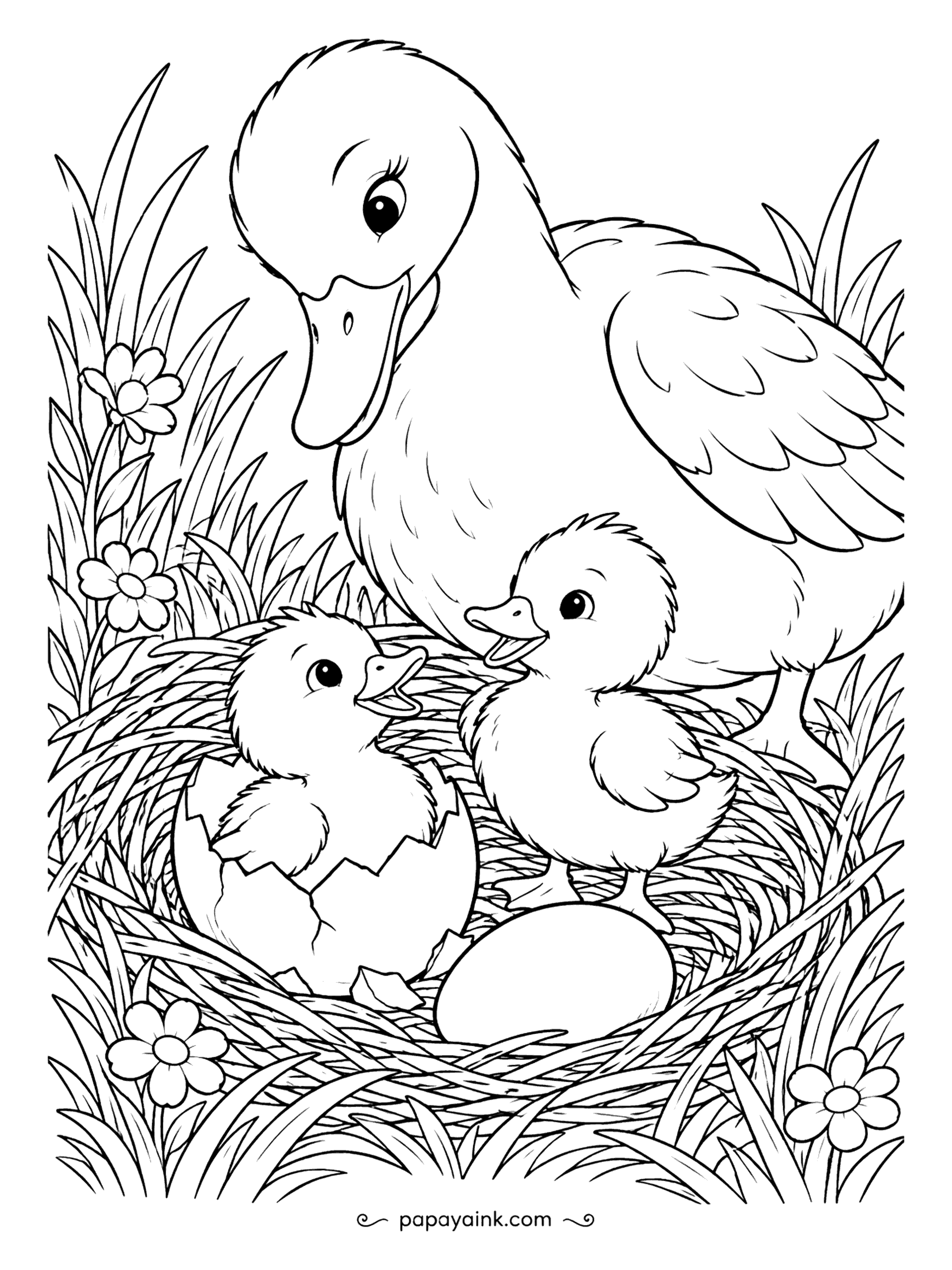 Duck Coloring Pages - One duckling is already out and steady on its feet, a second is still wearing half the shell, and the last egg is taking its time. Mother watches over the grassy nest. Detailed - lots of woven straw.