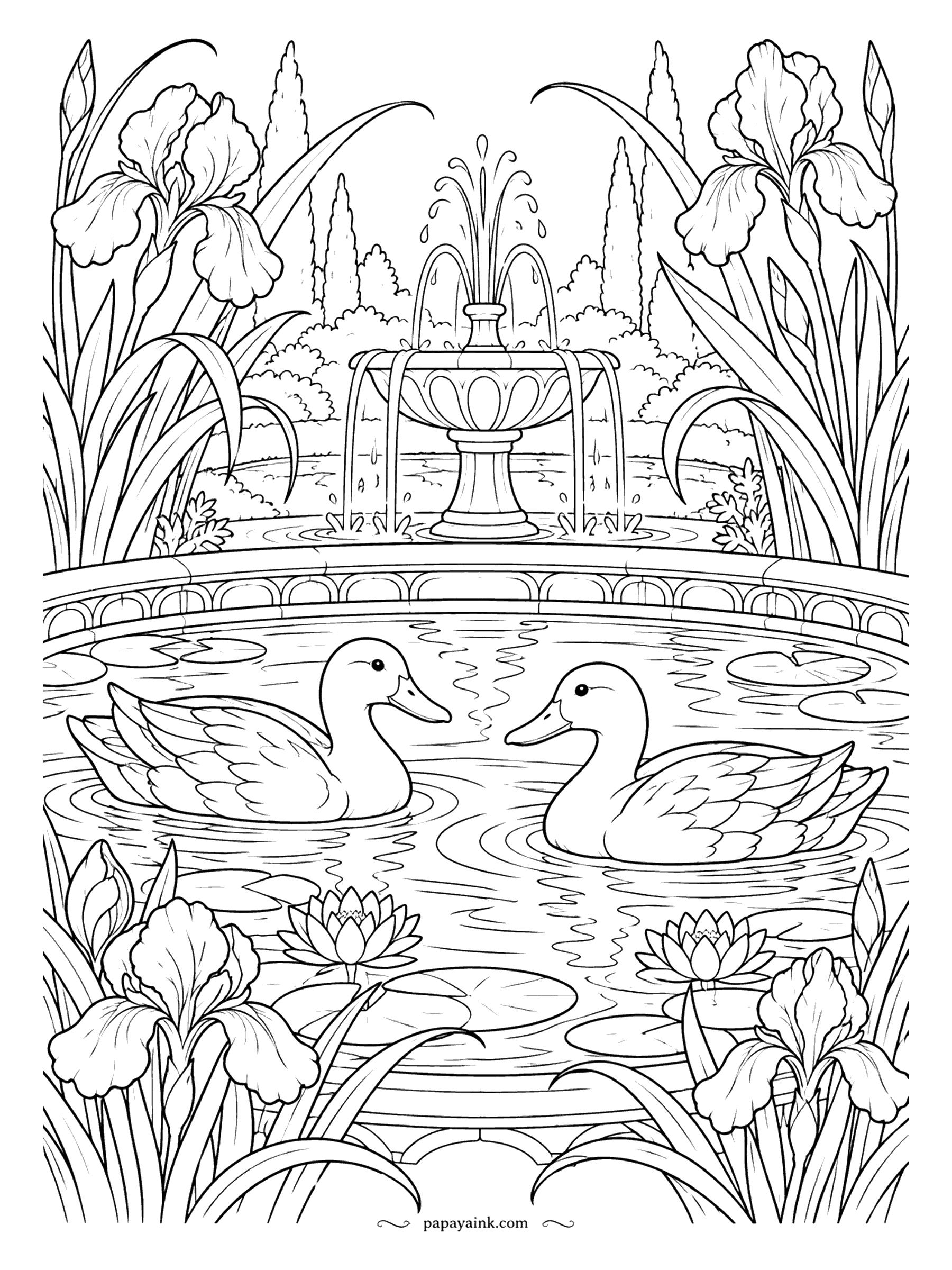 Duck Coloring Pages - A formal garden with a fountain, tall irises and a round stone pool, and two ducks treating it all as their private pond. They meet face to face in the middle. Irises and lily pads fill the corners with fine detail.