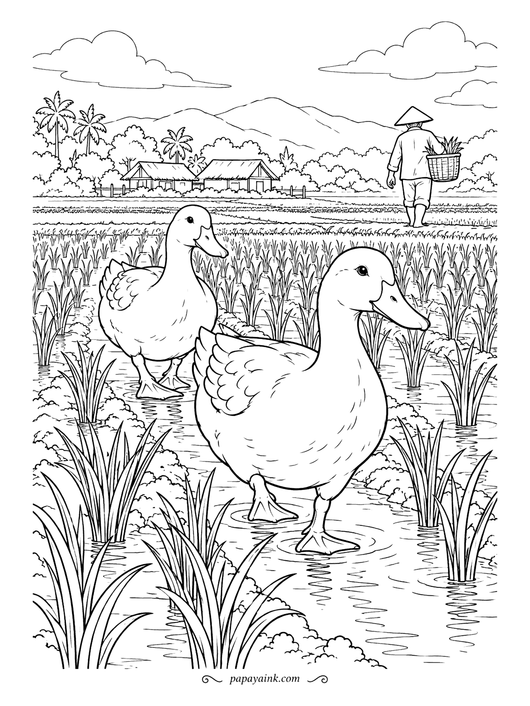 Duck Coloring Pages - In parts of Asia, ducks work the rice paddies: they eat weeds and insects between the young plants and leave the crop alone. These two are clearly on shift. Rows of rice and a distant village reward a sharp pencil.