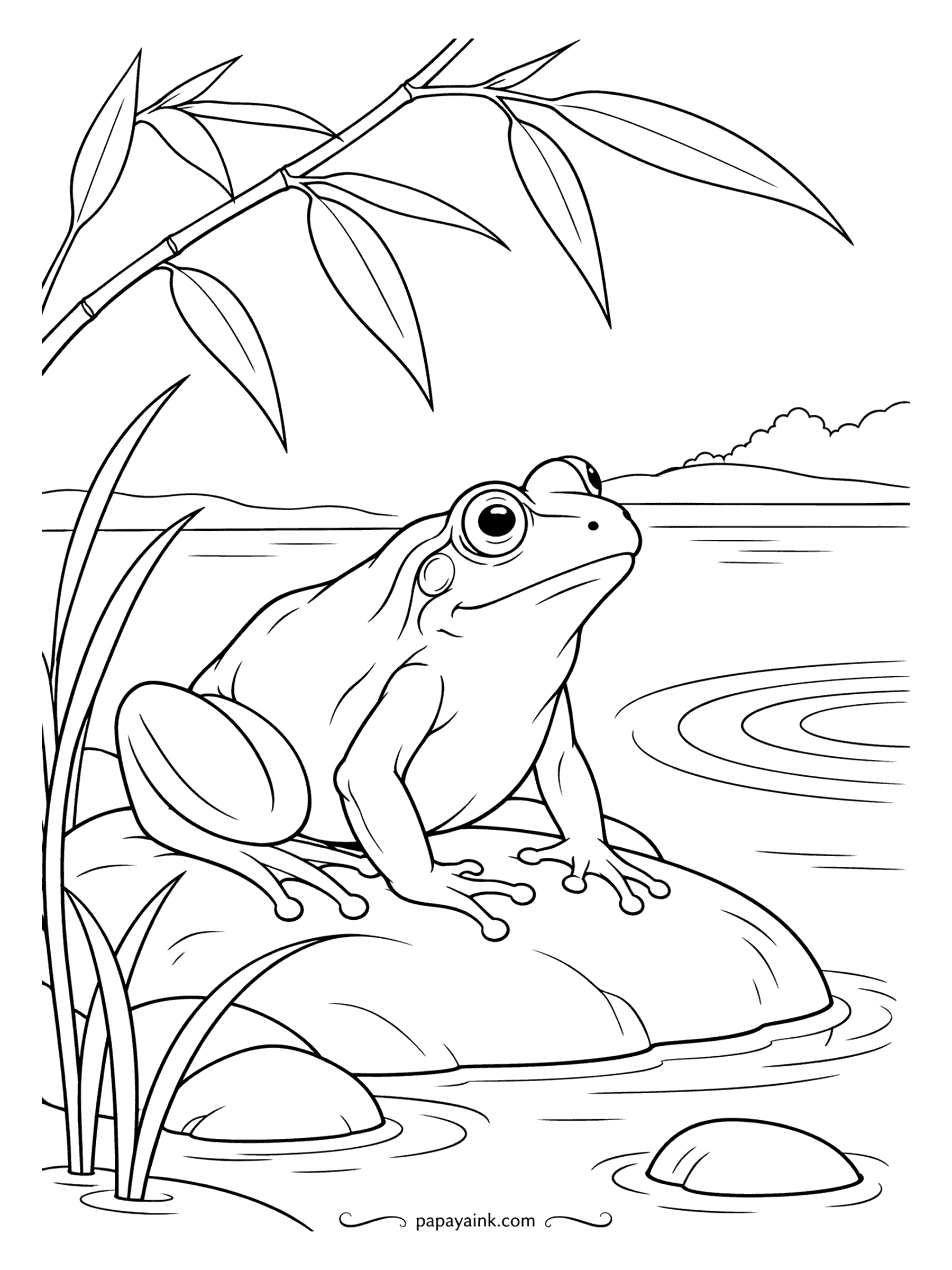 Frog Coloring Pages - One frog on a river stone under drooping bamboo, ripples spreading where something just jumped in. Few lines and big areas - an easy page, good for markers or a quick afternoon.