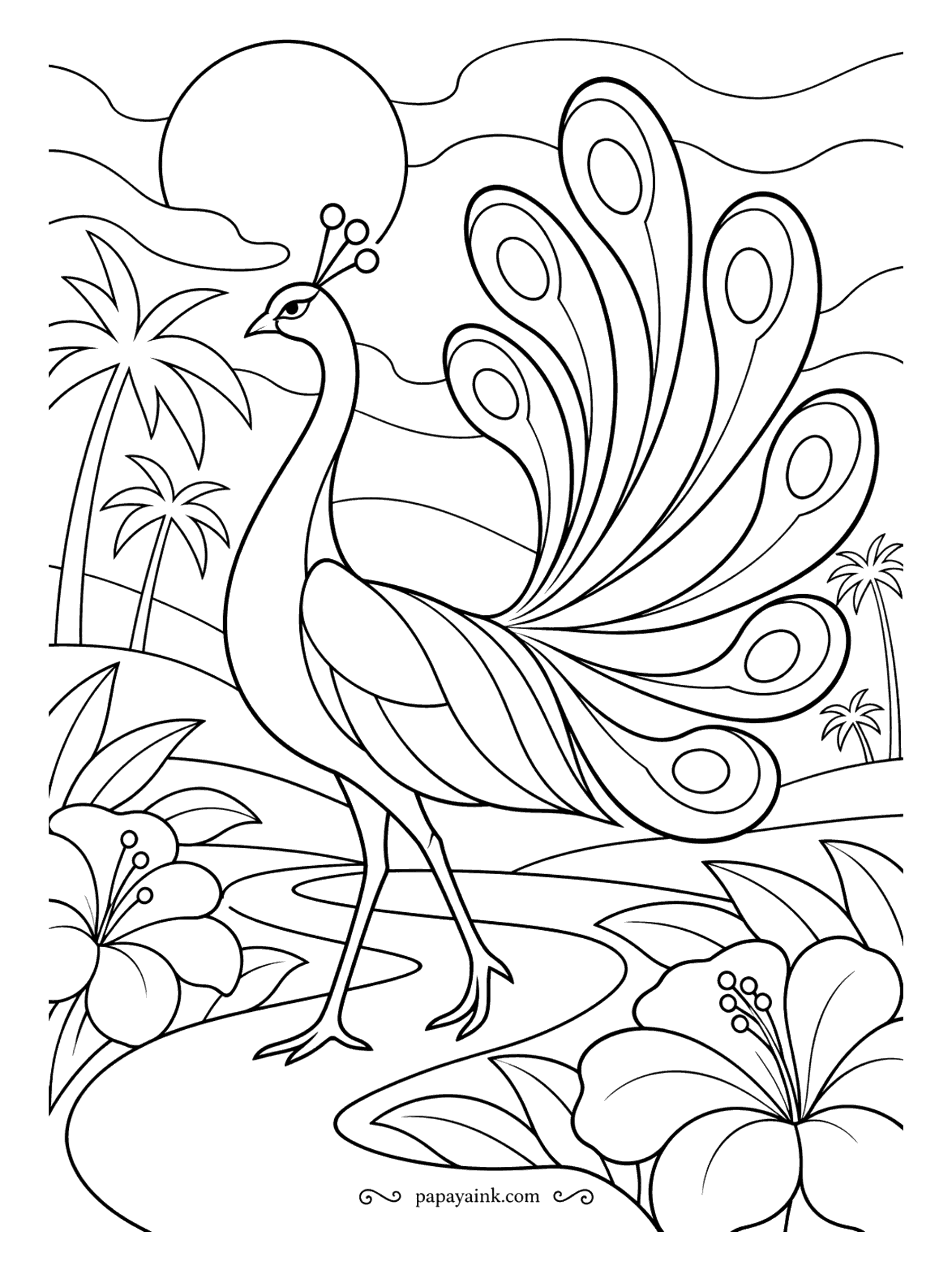 Peacock Coloring Pages - Hibiscus, palm trees and a very simple peacock with a handful of oversized tail feathers. Few lines, lots of white space - this is the one to hand to a young colorist or to color with crayons.