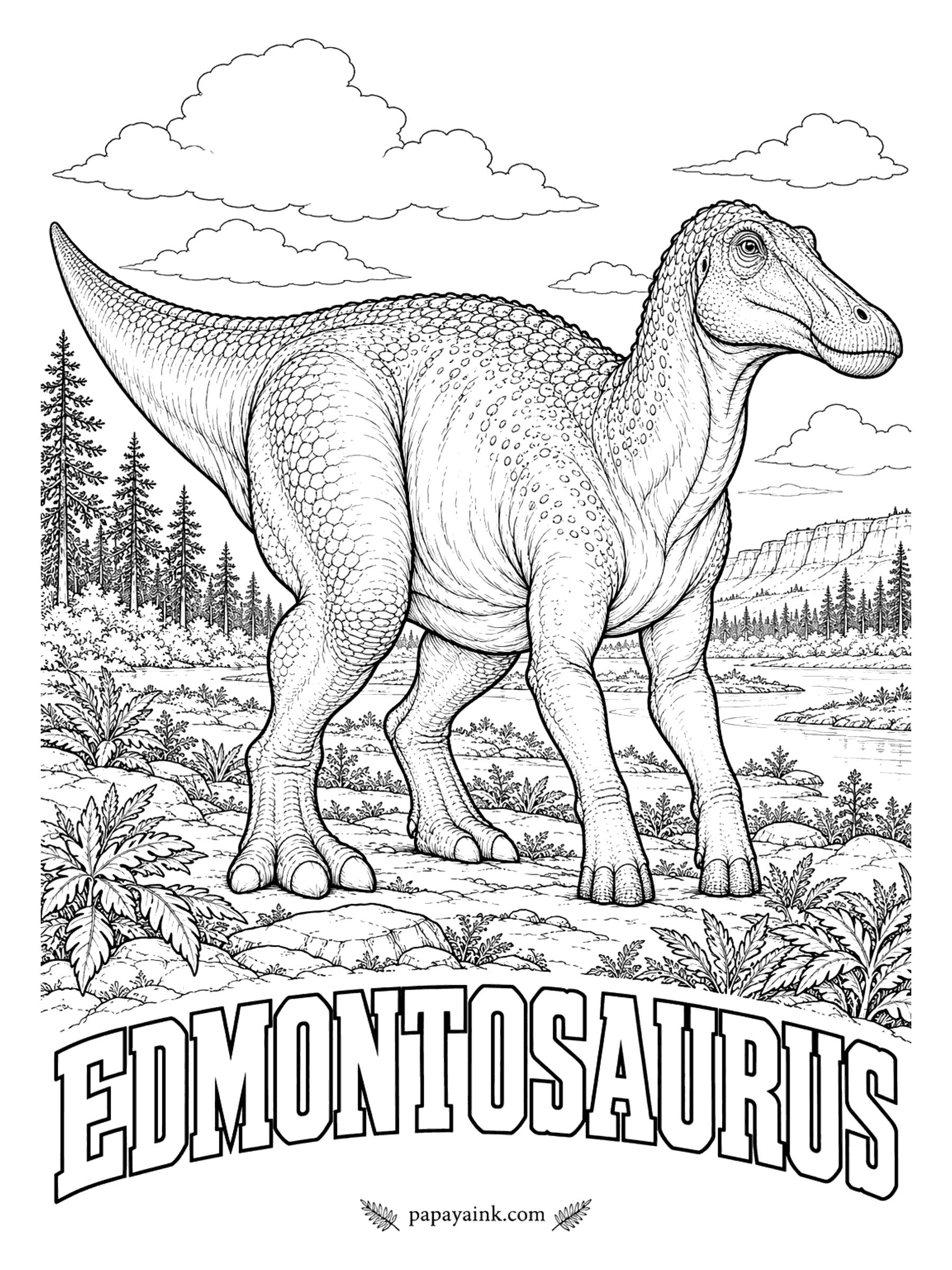 Free Printable Dinosaur Coloring Pages - Hundreds of teeth packed into grinding blocks made this duck-bill one of the best chewers of its time. Edmontosaurus (ed-MON-toe-SORE-us, Edmonton lizard) is known from mummies with the skin still in place, and healed bite marks show that T. rex attacked it. A plant-eater up to 39 feet long. Western North America, 73 to 66 million years ago.