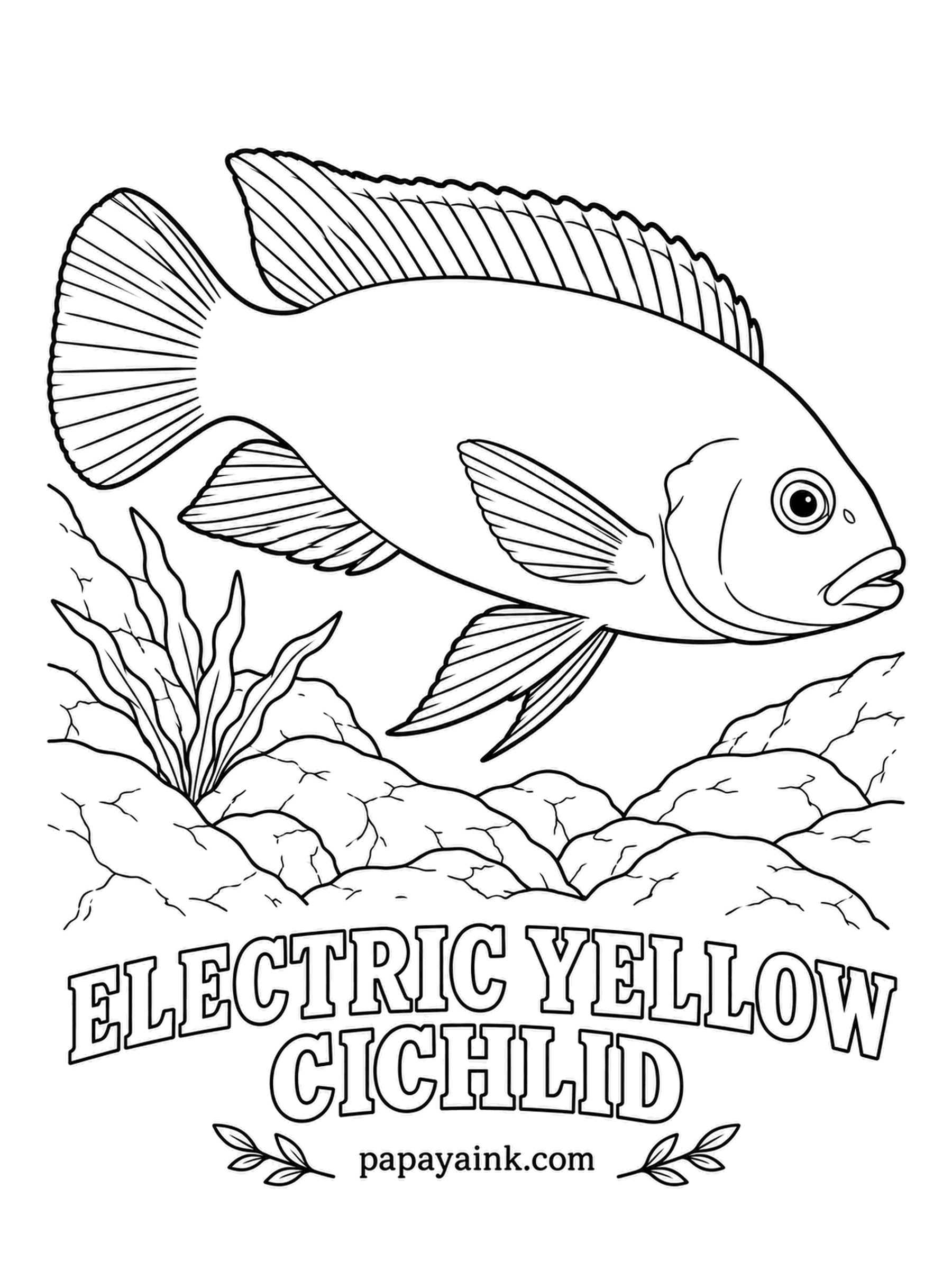 Aquarium Fish Coloring Pages - From the rocky shores of Lake Malawi, this cichlid is lemon yellow all over except for a black stripe trimming the dorsal fin. Mothers carry the eggs and newborn fry in their mouths for weeks. One strong yellow does almost all the work.