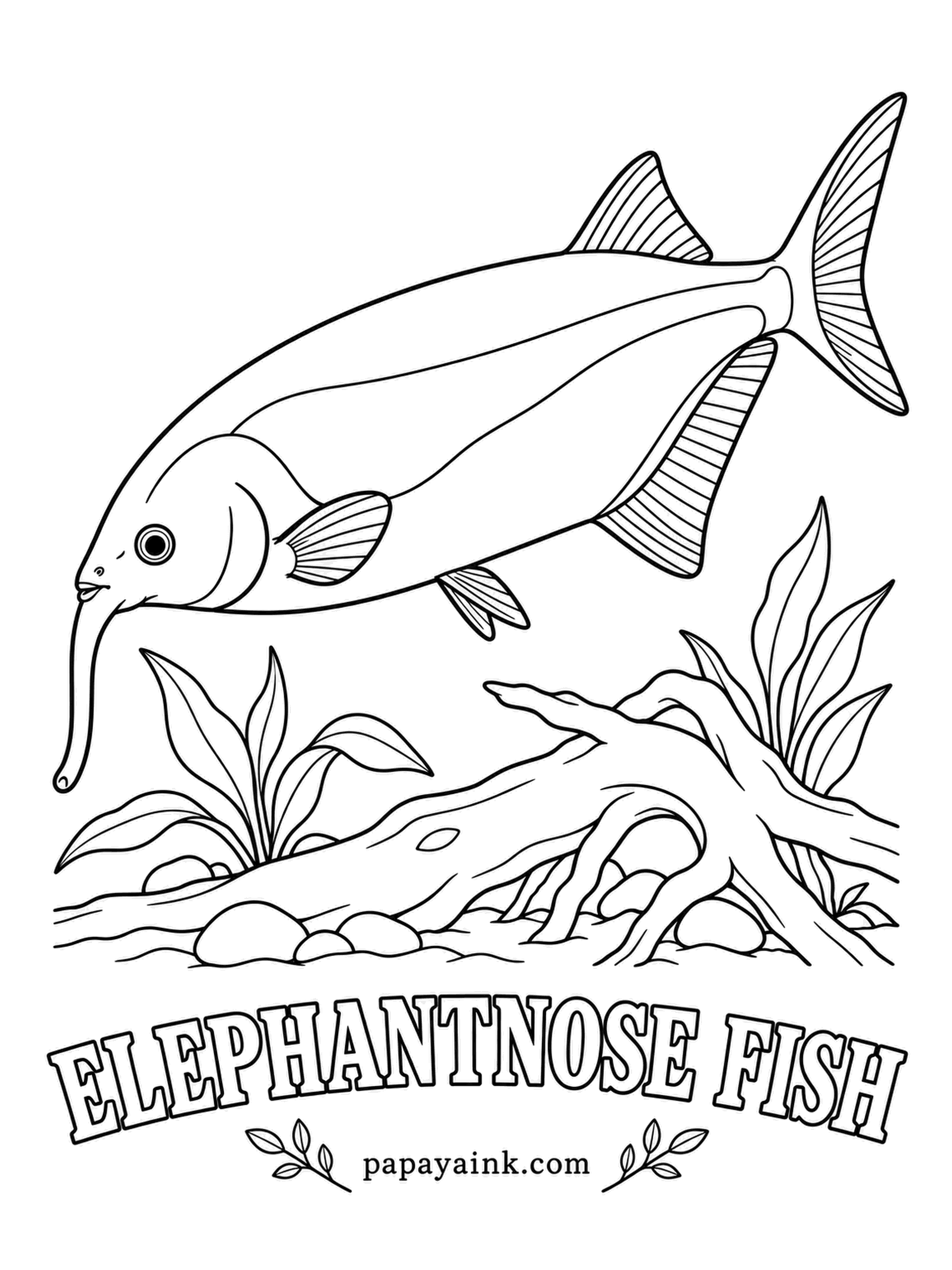 Aquarium Fish Coloring Pages - The trunk is really a stretched chin, packed with sensors that read a faint electric field the fish makes around itself. Its brain is among the largest for its size of any fish. Dark chocolate all over, with two pale bands near the tail.