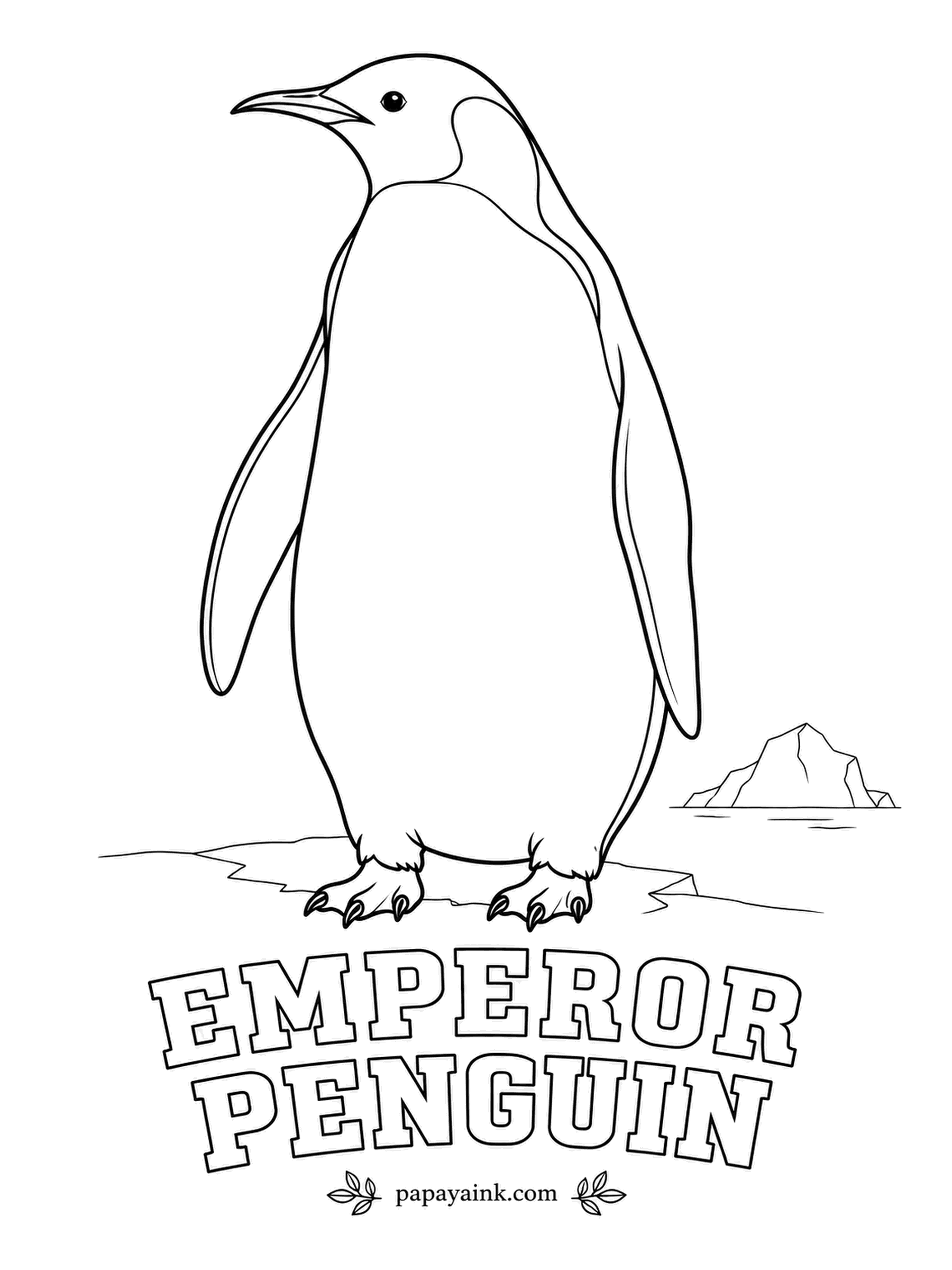 Printable Bird Coloring Pages - Taller than a kitchen counter, the male spends the Antarctic winter balancing an egg on his feet. Emperor Penguins wear a black head and back, a white belly and golden ear patches fading to yellow on the chest. A quick, open page.