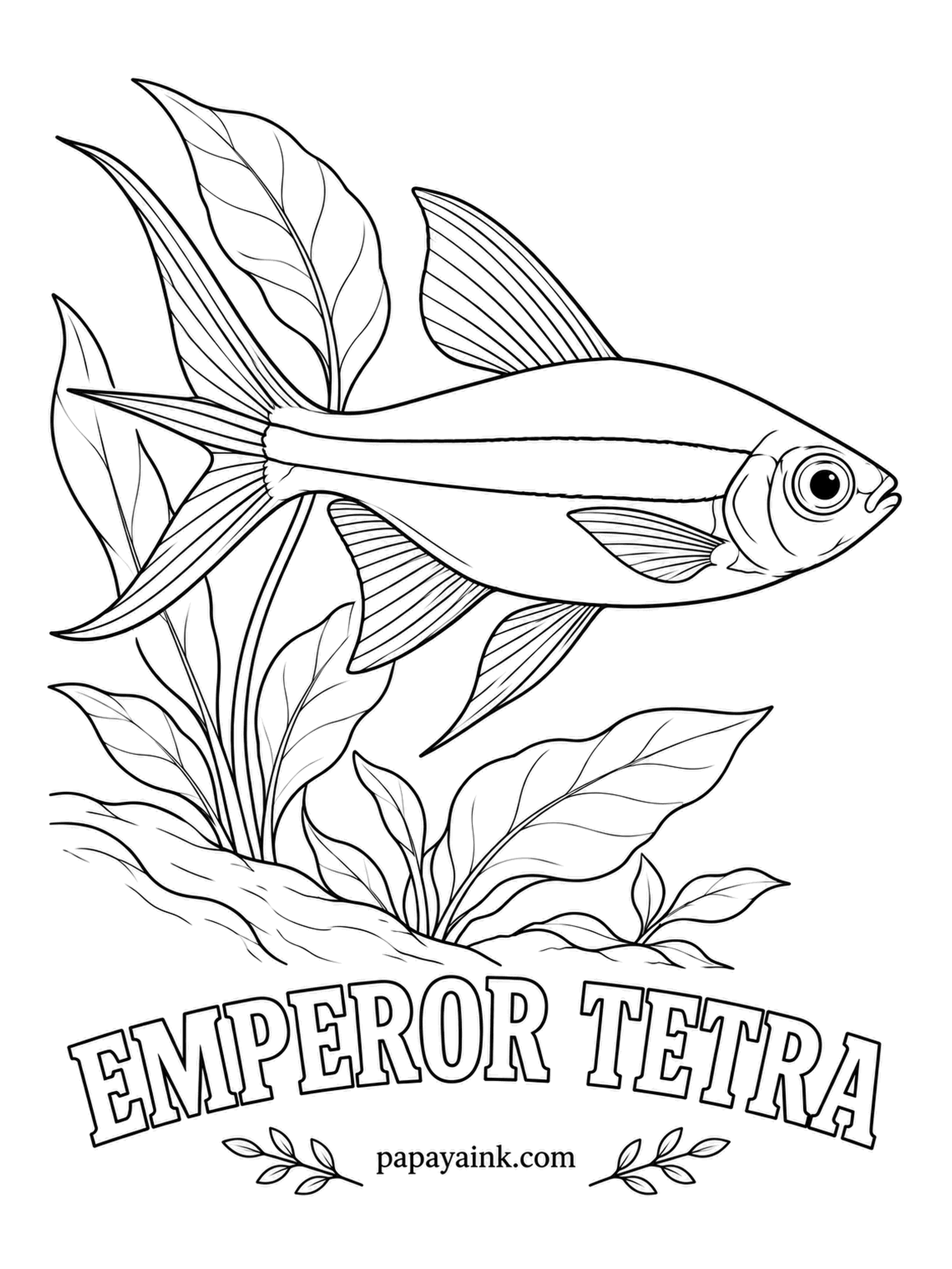 Aquarium Fish Coloring Pages - Emperor tetras come from the rivers of western Colombia and carry a bold dark band along the side. Males have blue eyes, females green ones. Give the flanks a faint violet sheen and save the darkest pencil for the band.